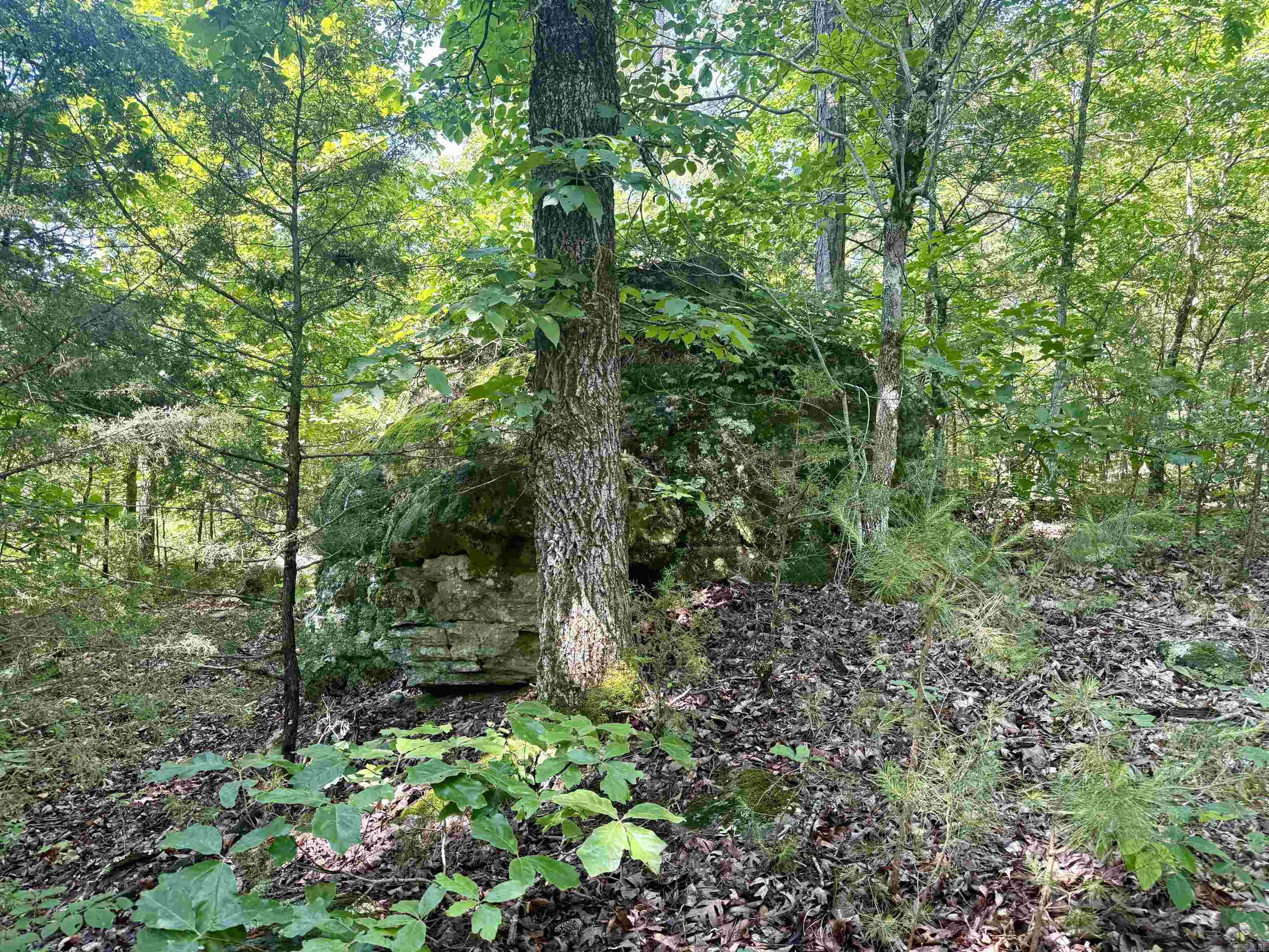 Not in Subdivision - Land