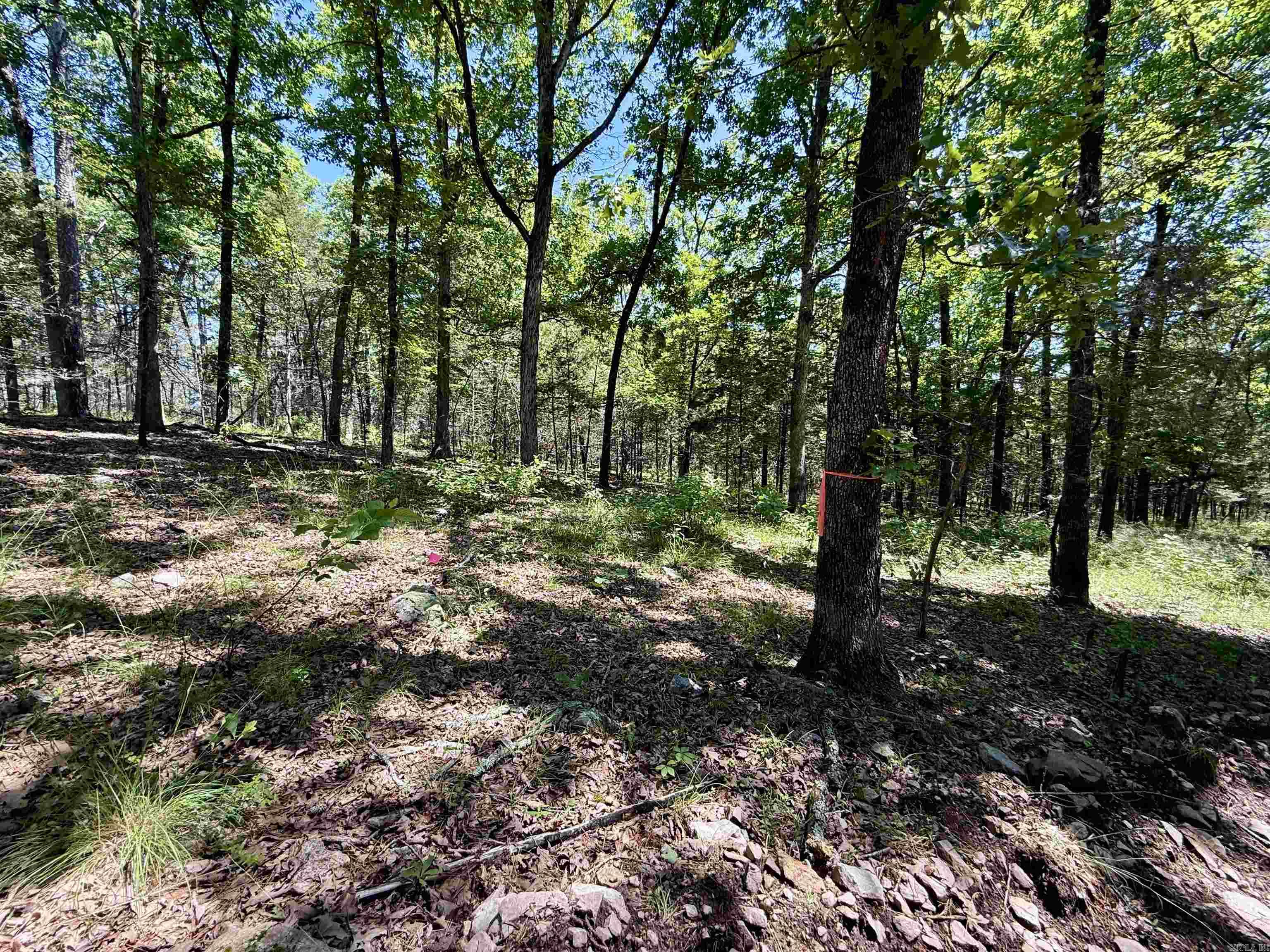 Not in Subdivision - Land