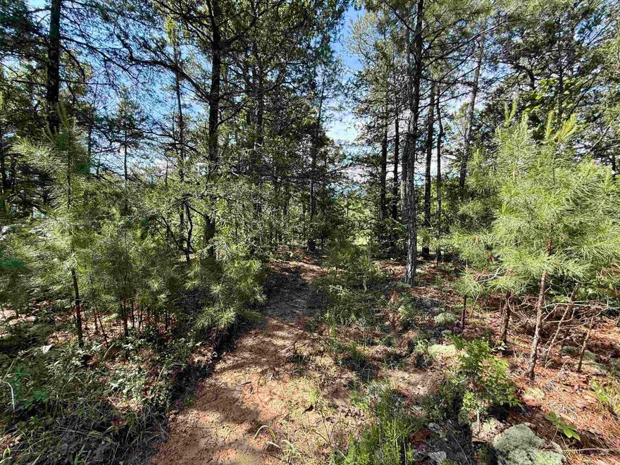 13± UNRESTRICTED ACRES BORDERING THE OZARK NATIONAL FOREST – MINUTES FROM SNEED'S CREEK LANDING ON THE WHITE RIVER This unique property offers a rare opportunity to own 13± unrestricted acres adjoining the Ozark National Forest, with endless potential for a private retreat, hunting camp, or dream cabin. Enjoy the trails, striking geological rock formations, and the tranquility of nature all around. Just minutes from Sneed’s Creek Landing for easy access to fishing, kayaking, and river adventures. Electric is available. Property will need to be surveyed.