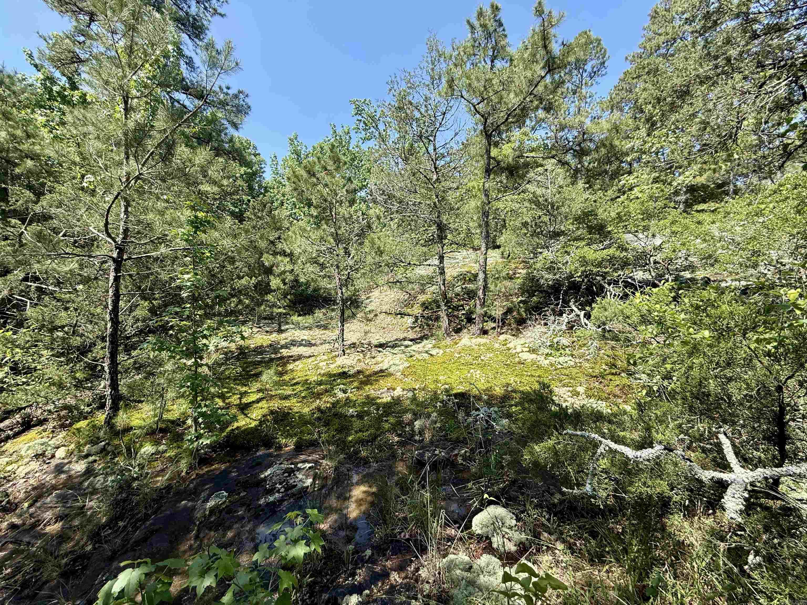 Not in Subdivision - Land