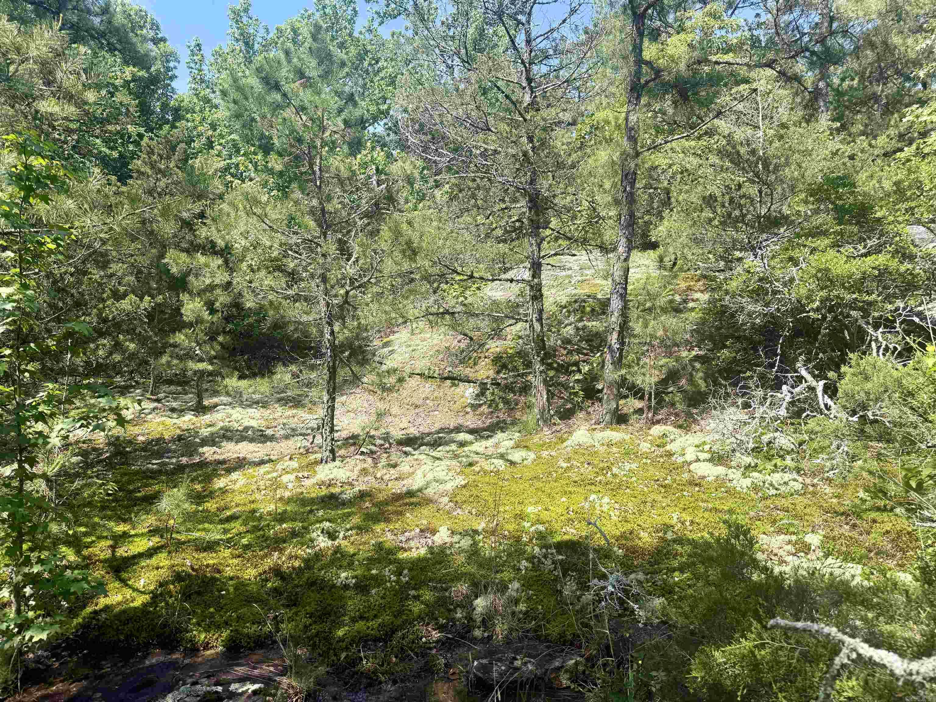 Not in Subdivision - Land