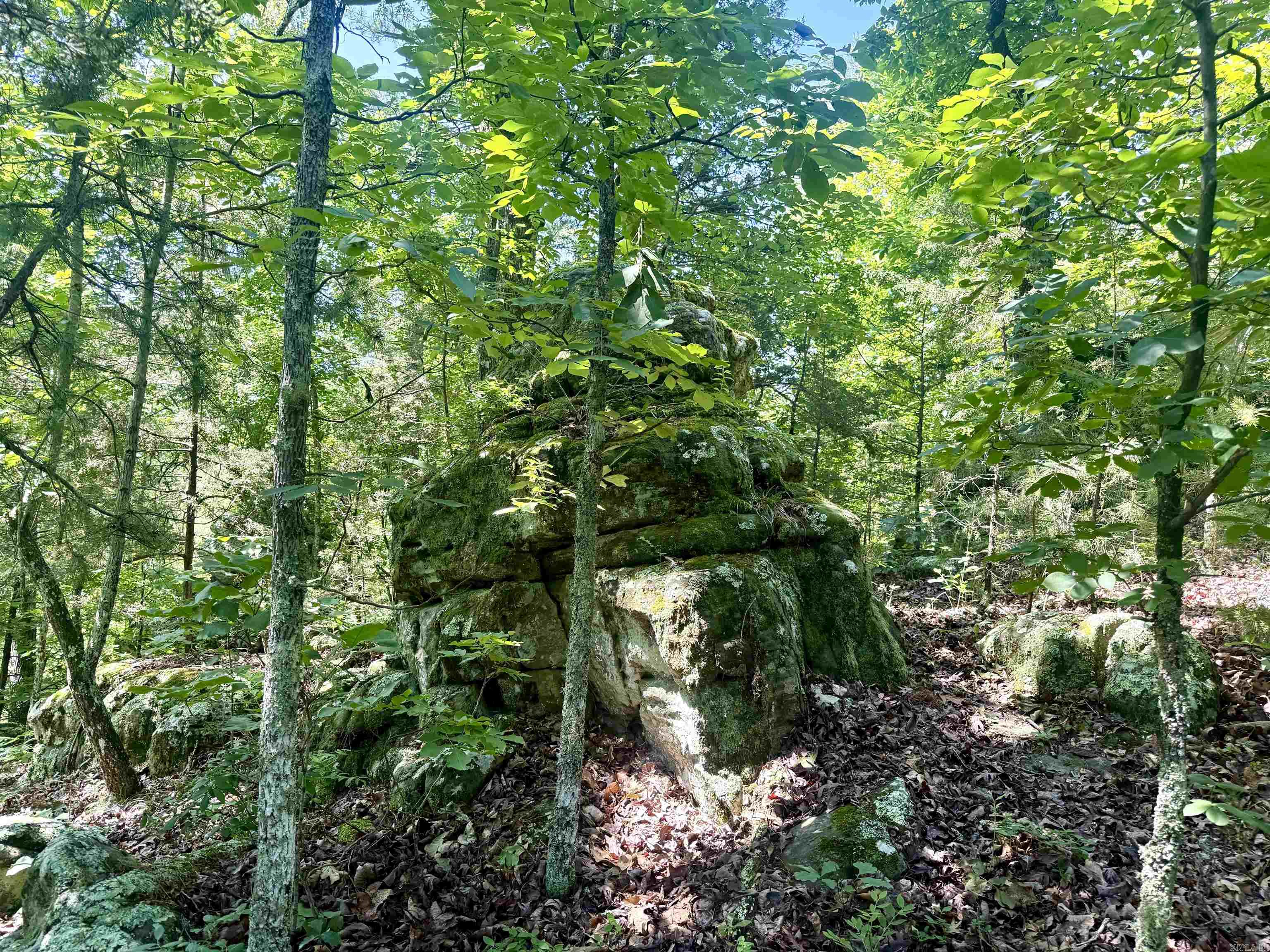 Not in Subdivision - Land