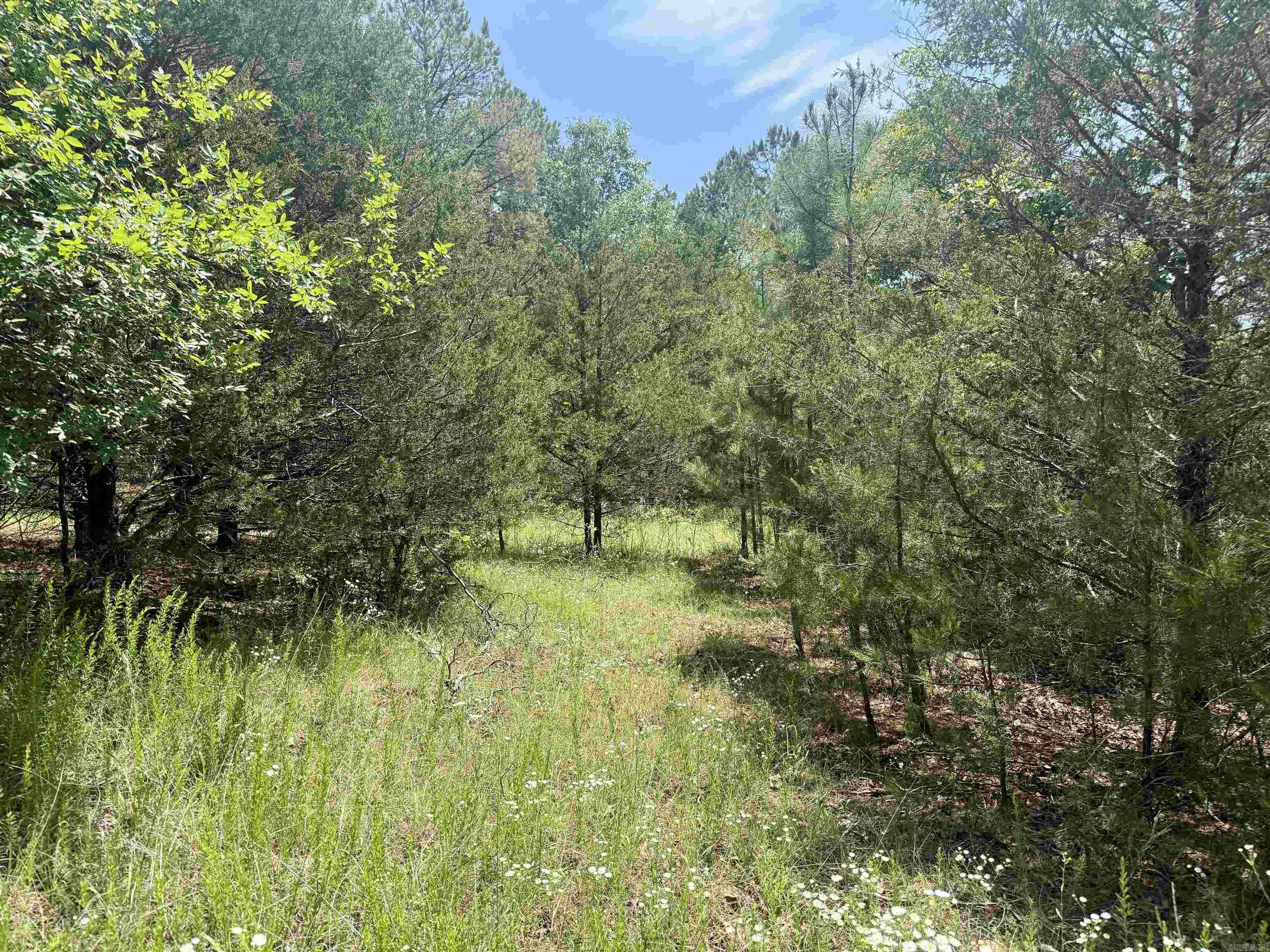 Not in Subdivision - Land