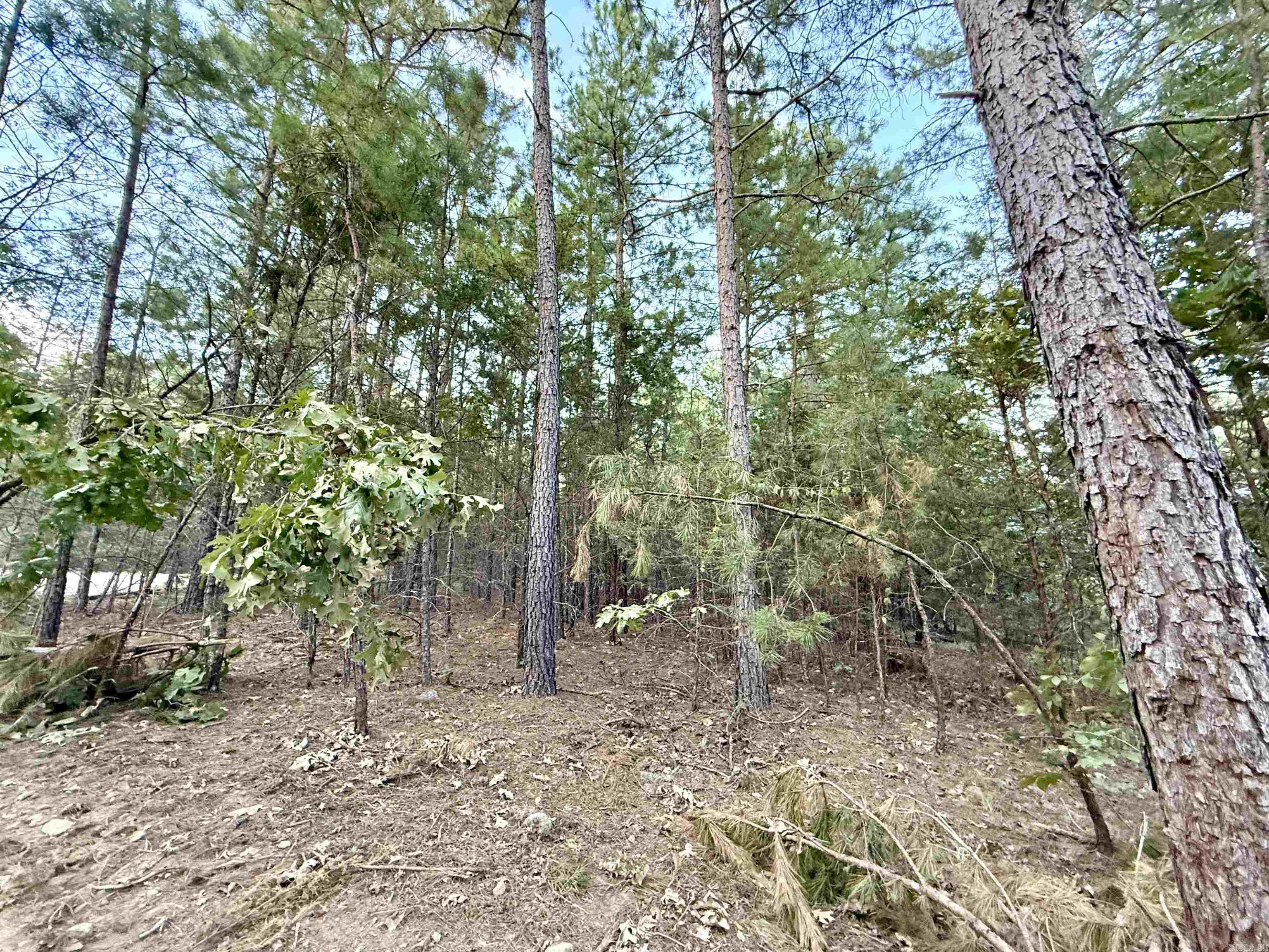 Not in Subdivision - Land