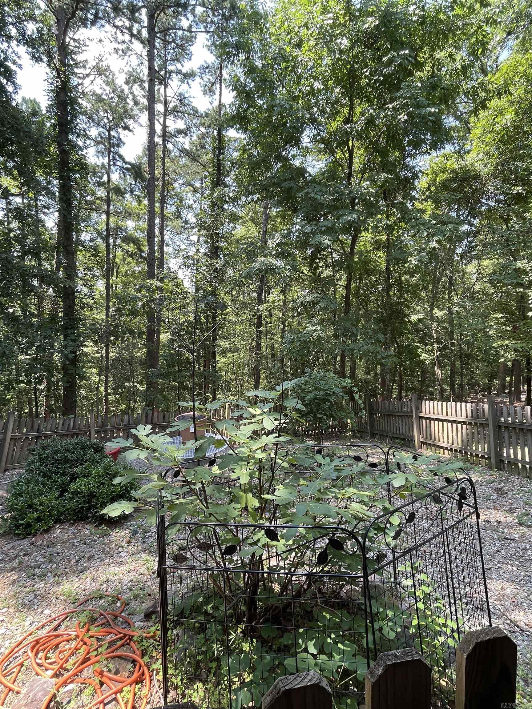 ALARCON - Residential