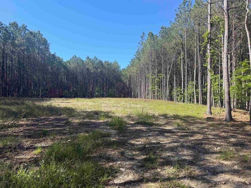 Great opportunity for a homesite, recreational property, or investment tract surrounded by natural beauty. Beautiful, peaceful 10 acre tract featuring mostly mature trees with a cleared homesite ready for your dream home or getaway cabin. A road has already been cut through the from the front to the back. Gates are installed at both ends with the front on Stihl and the back on Breshears Road. Culverts are in for driveways and both ends. Subdivision allows tracts as small as 5 acres so could be two homeplaces.  Restricted from mobile homes. Will require well and septic.