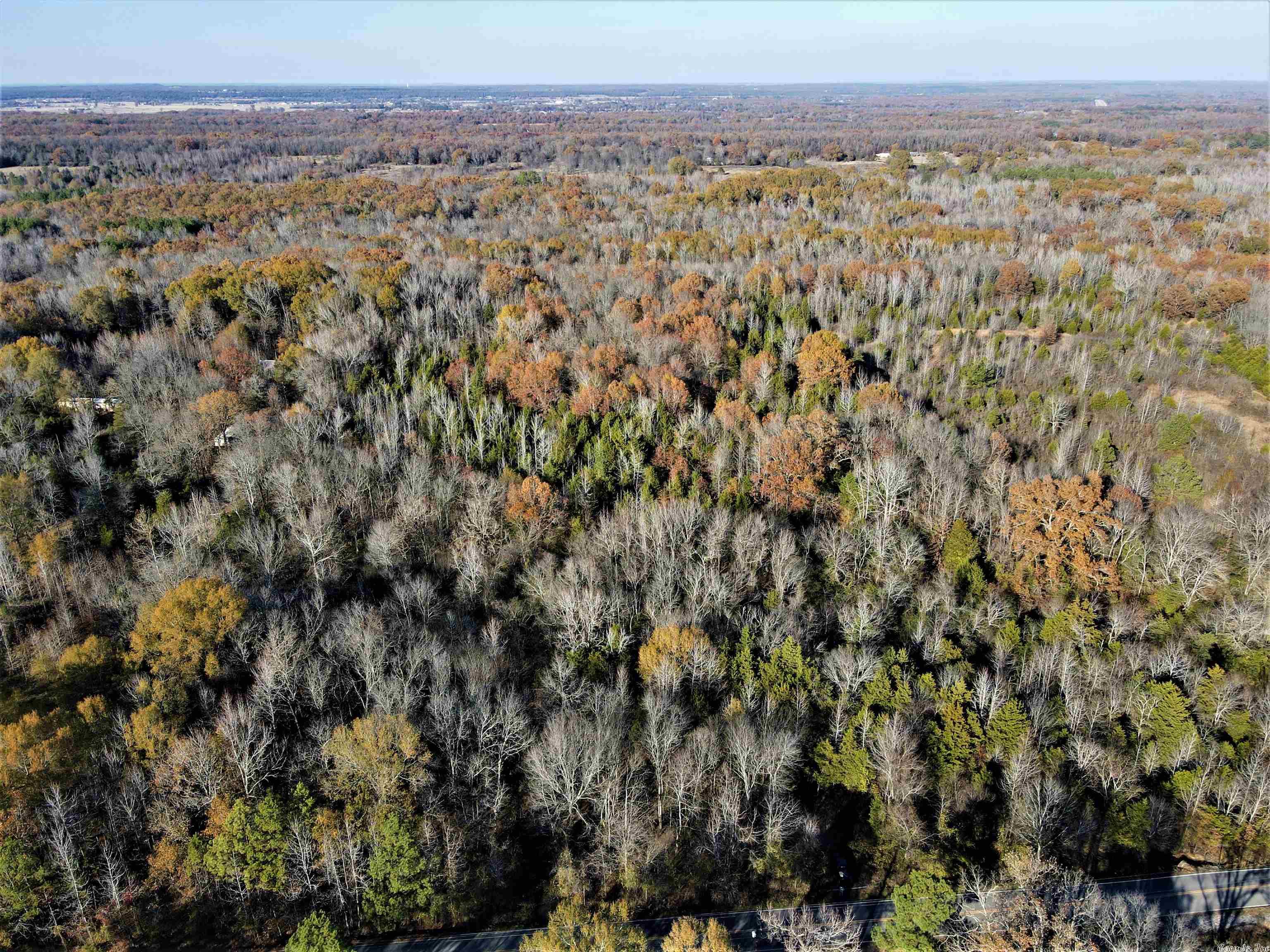 - 22.64 +/- acres of timber - Numerous build sites - Two seasonal creeks - Utilities near the property - Mature hardwood trees - Healthy deer and small game populations - Paved road frontage - No restrictions - Outside city limits - 18 miles to Conway - 2.8 miles to Vilonia