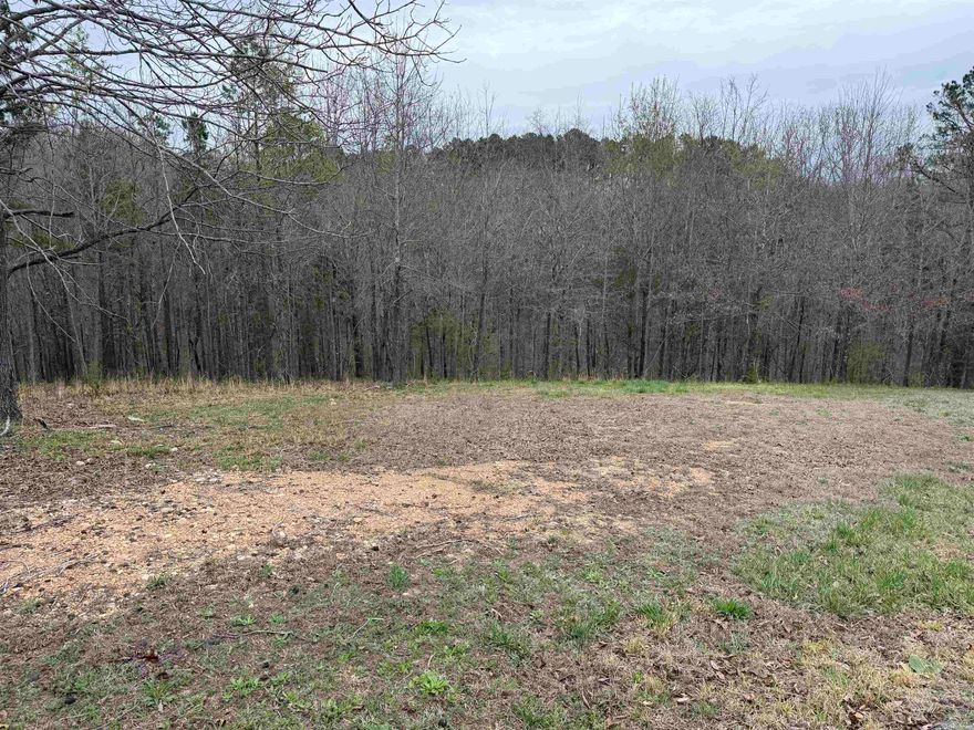 Build your dream home on this beautiful 0.76-acre lot located in one of Mountain View’s newer golf course subdivisions—inside city limits. Surrounded by attractive, well-kept homes, this property offers a peaceful setting with plenty of space for a custom build. An adjoining lot is also available for purchase, providing the opportunity to expand your homesite or enjoy additional privacy. Just minutes from downtown, the golf course, and local attractions, this is a great opportunity in a sought-after area.