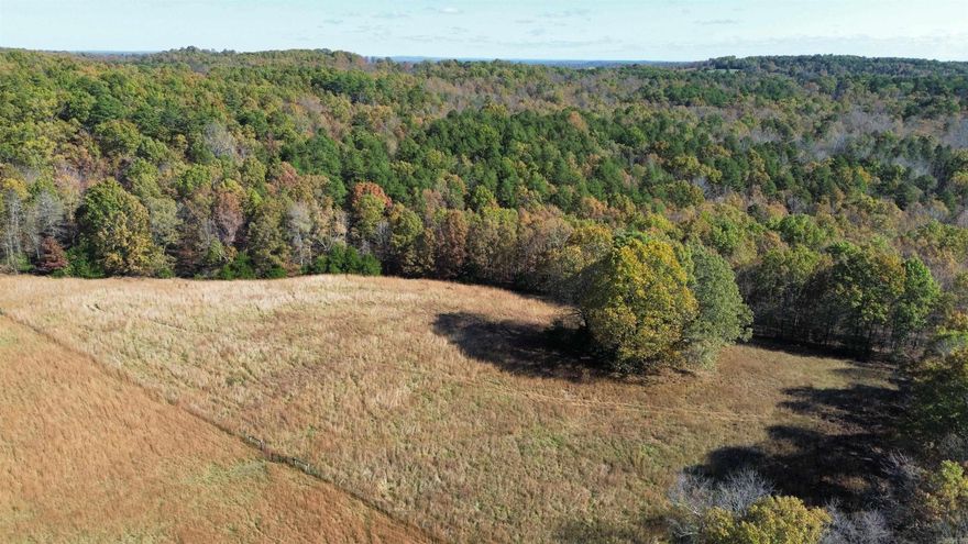 60 ACRE RECREATIONAL AND HUNTING LAND IN THE OZARKS  This expansive 60 acre rural property is located outside Melbourne, Arkansas. It features a well-maintained trail system, making it easy to explore every corner—perfect for hiking, ATV riding, and soaking in the natural surroundings.  Abundant wildlife, including deer, turkey, and more, makes this property a perfect haven for hunting enthusiasts or nature lovers. A live spring adds to the property’s charm. A small, picturesque pasture area offers a prime building spot, ready for your dream home or cabin retreat. Electricity is already available on the property, enhancing its potential for future development.  With a balance of wooded areas and open space, this land provides countless possibilities for recreation or creating a private, peaceful lifestyle. Don't miss this unique opportunity to own a piece of the Ozarks, only for $179,900!