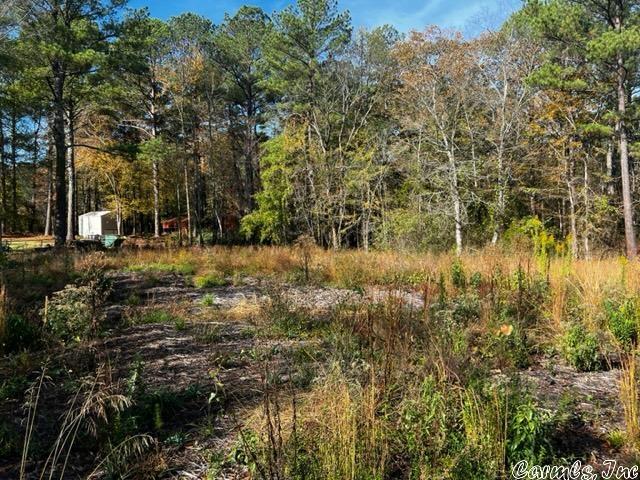 Treasure Isle #6 - Land