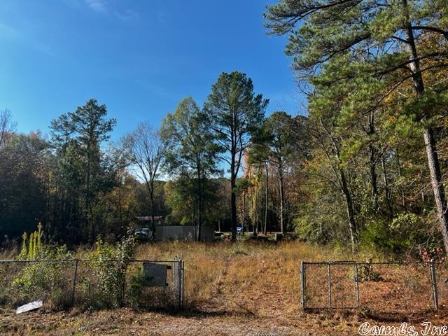 Treasure Isle #6 - Land