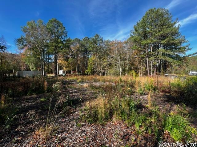 Treasure Isle #6 - Land