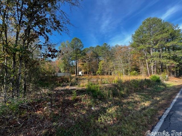 Treasure Isle #6 - Land