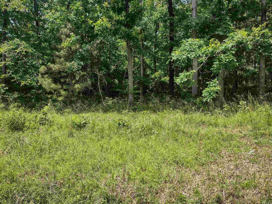 In the heart of this picturesque community, this property boasts a prime location with views of Lake Balboa and easy access to amenities, ensuring a lifestyle of comfort and convenience. Don't miss the opportunity to own a piece of Hot Springs Village where your dreams can take root. Contact me today to explore this lot and turn your vision into reality. First time members to HSV pay a one-time buy in fee of $1500. Call with any questions! Lot is directly across from 50 Hartura Way...Look for the sign!