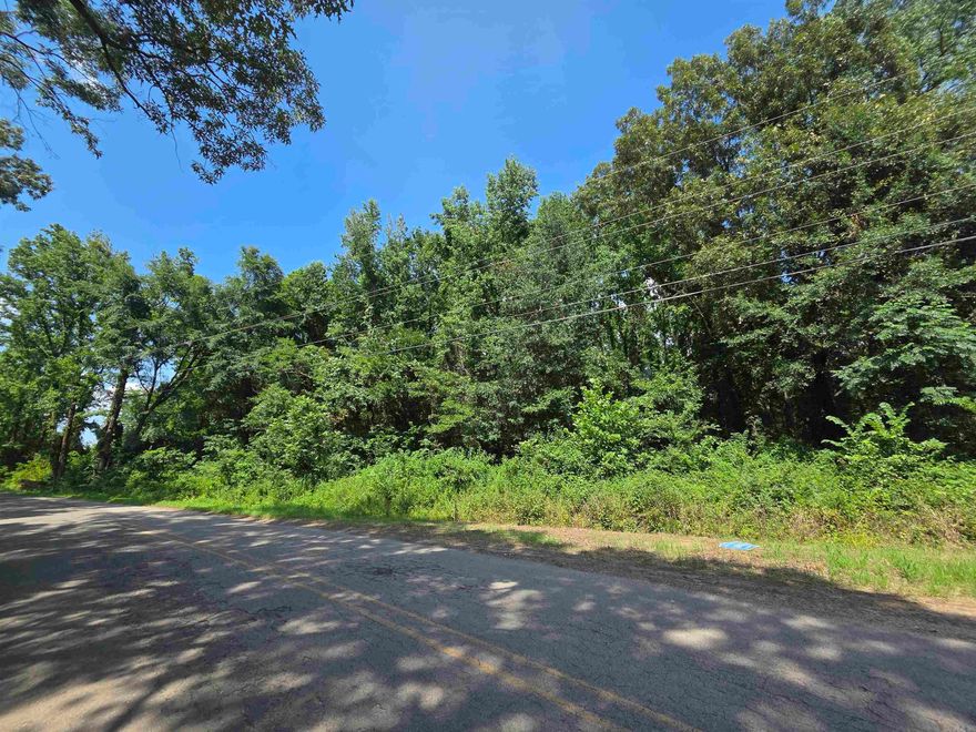 Come take a look at this spacious 3+ acre residential tract just south of Knoxville! This property offers plenty of room for a homesite, with utilities available at the road for added convenience. The land is unrestricted, providing flexibility for a variety of uses. Enjoy a rural setting while still being within a reasonable drive to nearby amenities. Don’t miss this opportunity to own a large parcel with great potential!