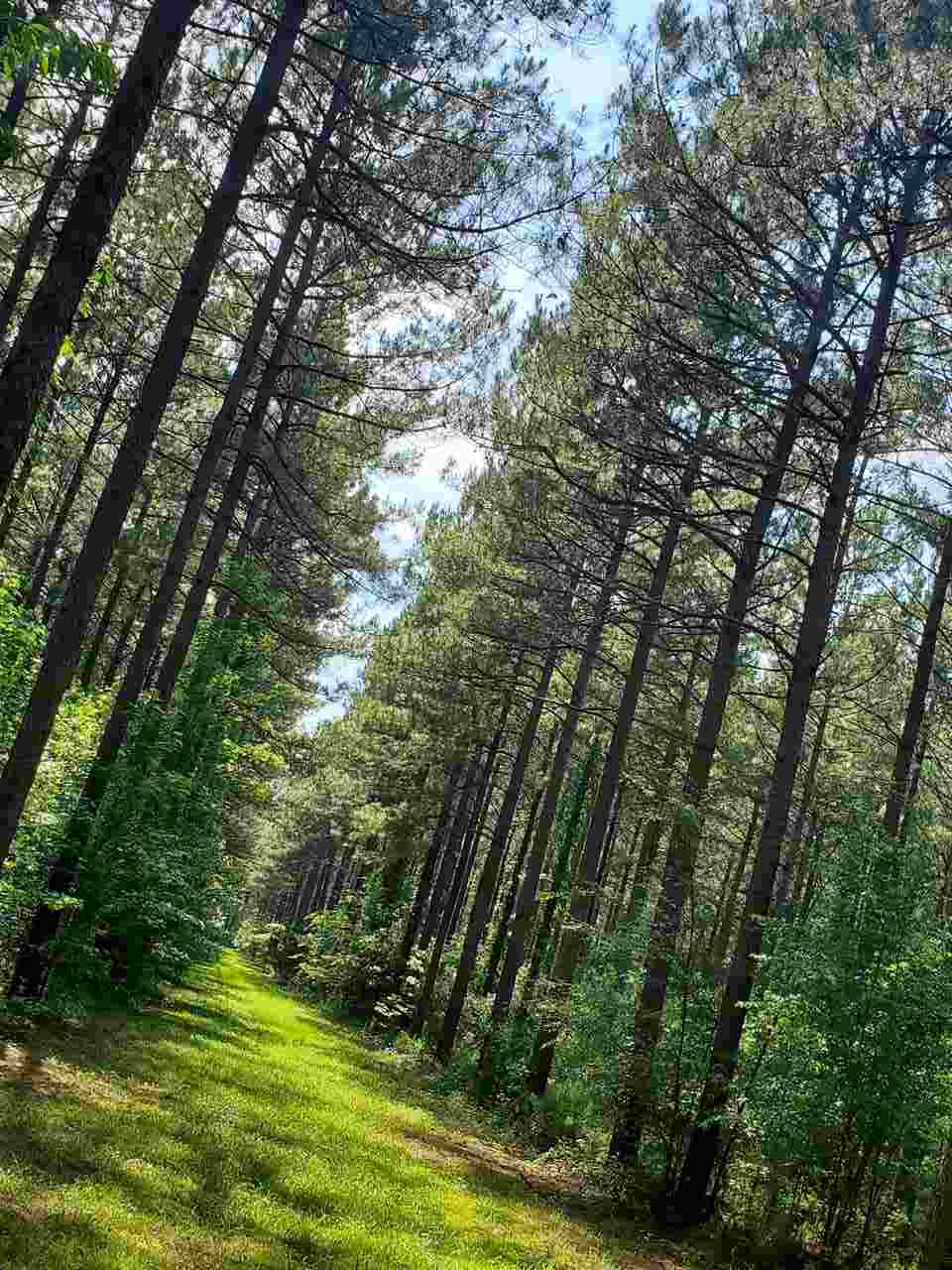 Not in Subdivision - Land