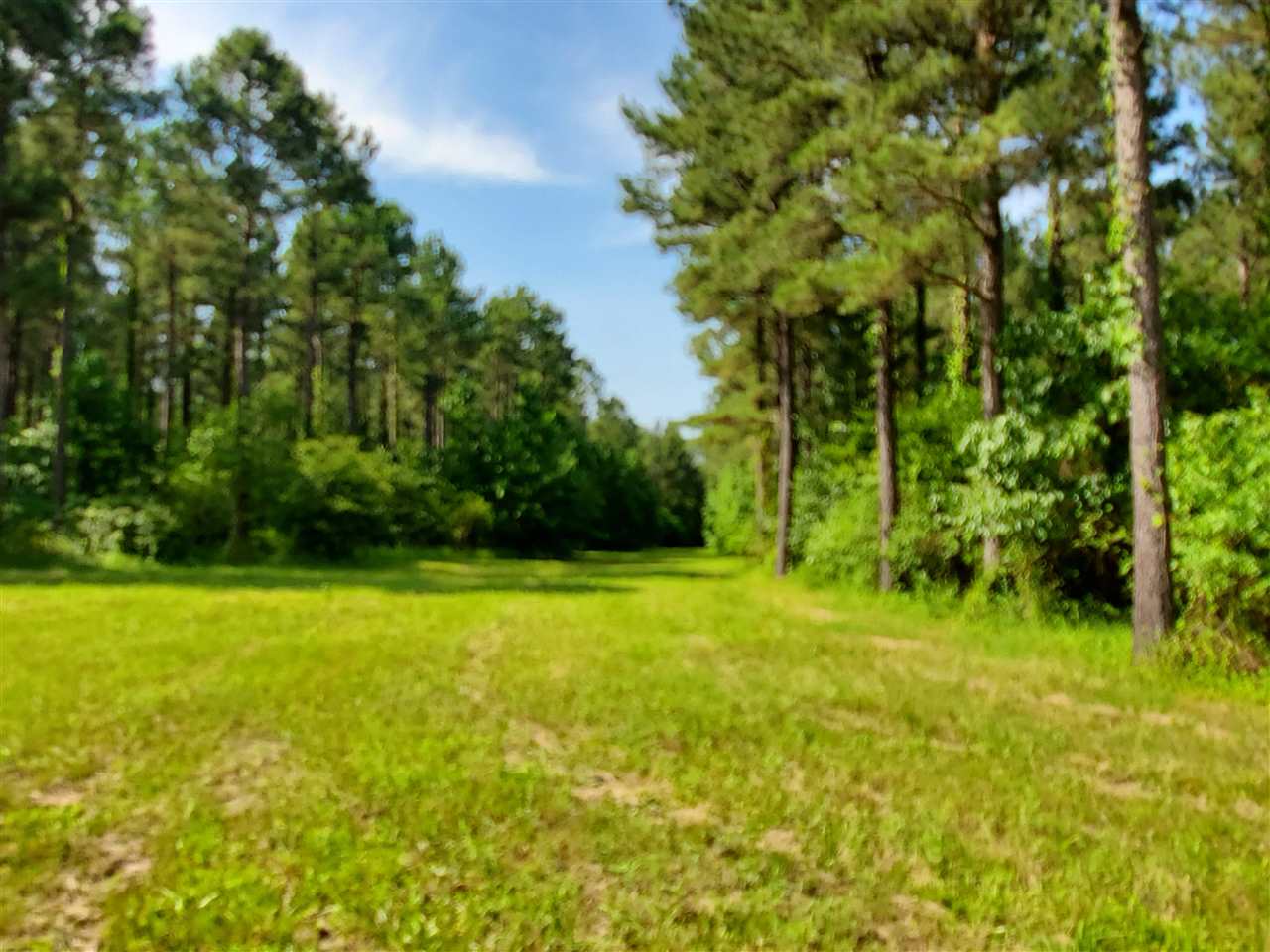 Not in Subdivision - Land