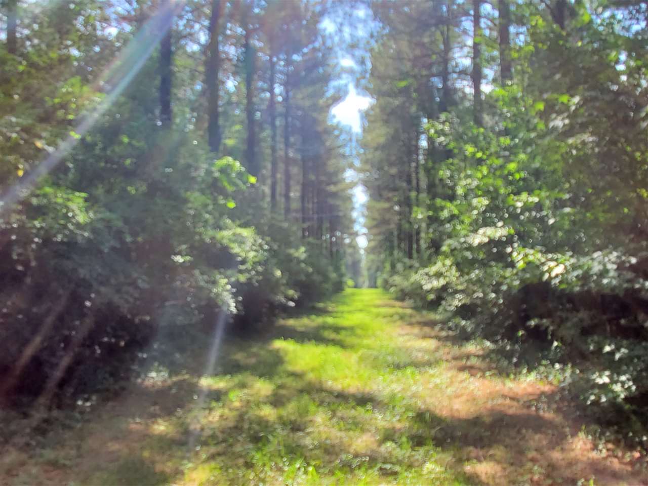 Not in Subdivision - Land