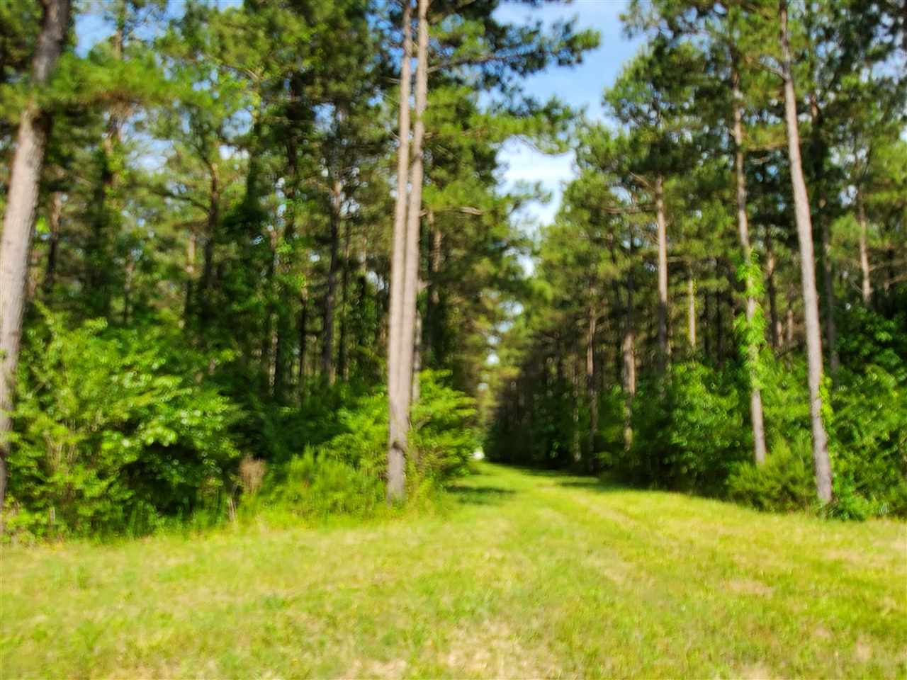 Not in Subdivision - Land