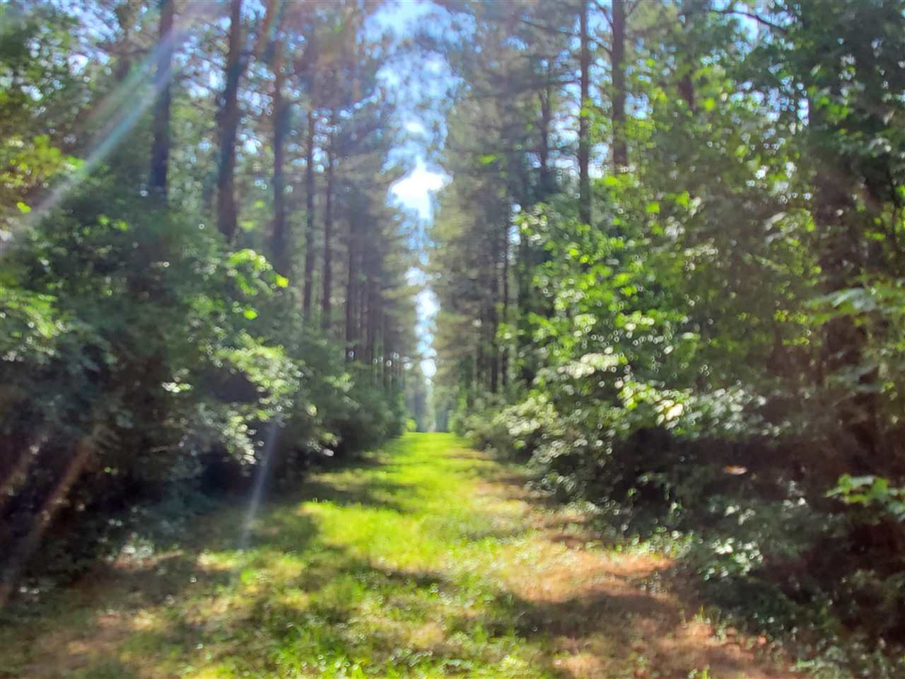 Not in Subdivision - Land