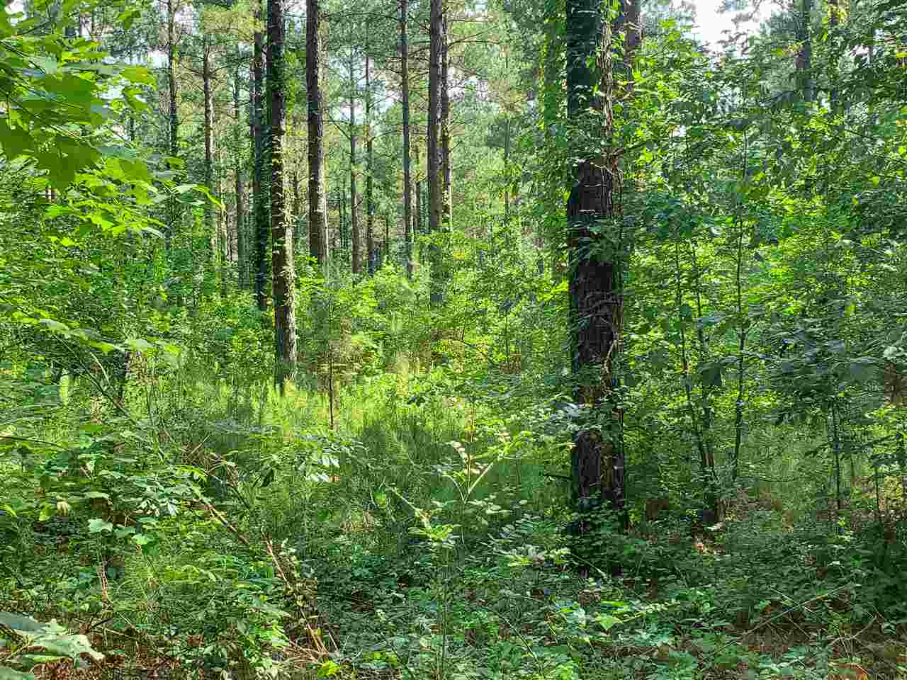 Not in Subdivision - Land