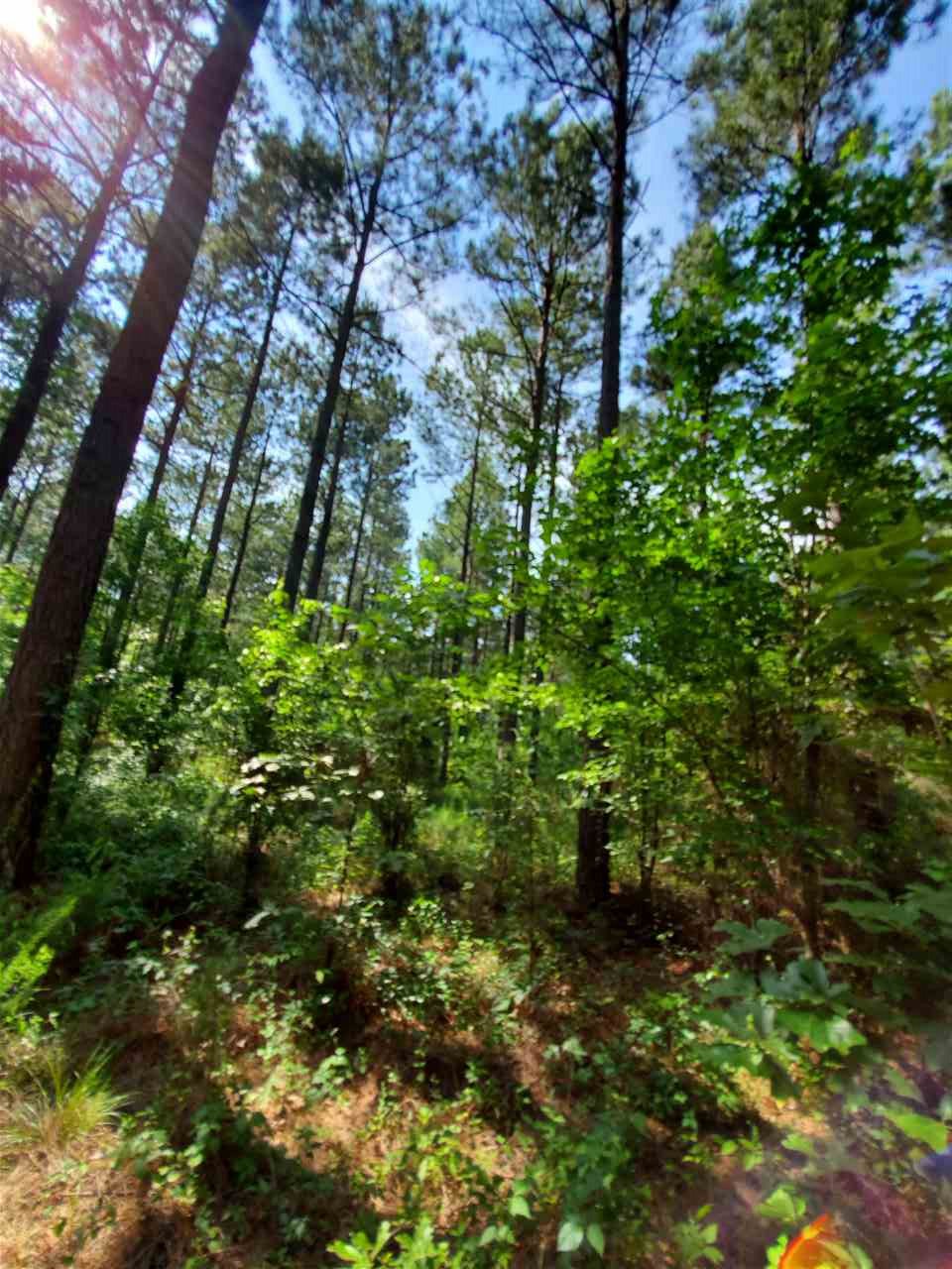 Not in Subdivision - Land