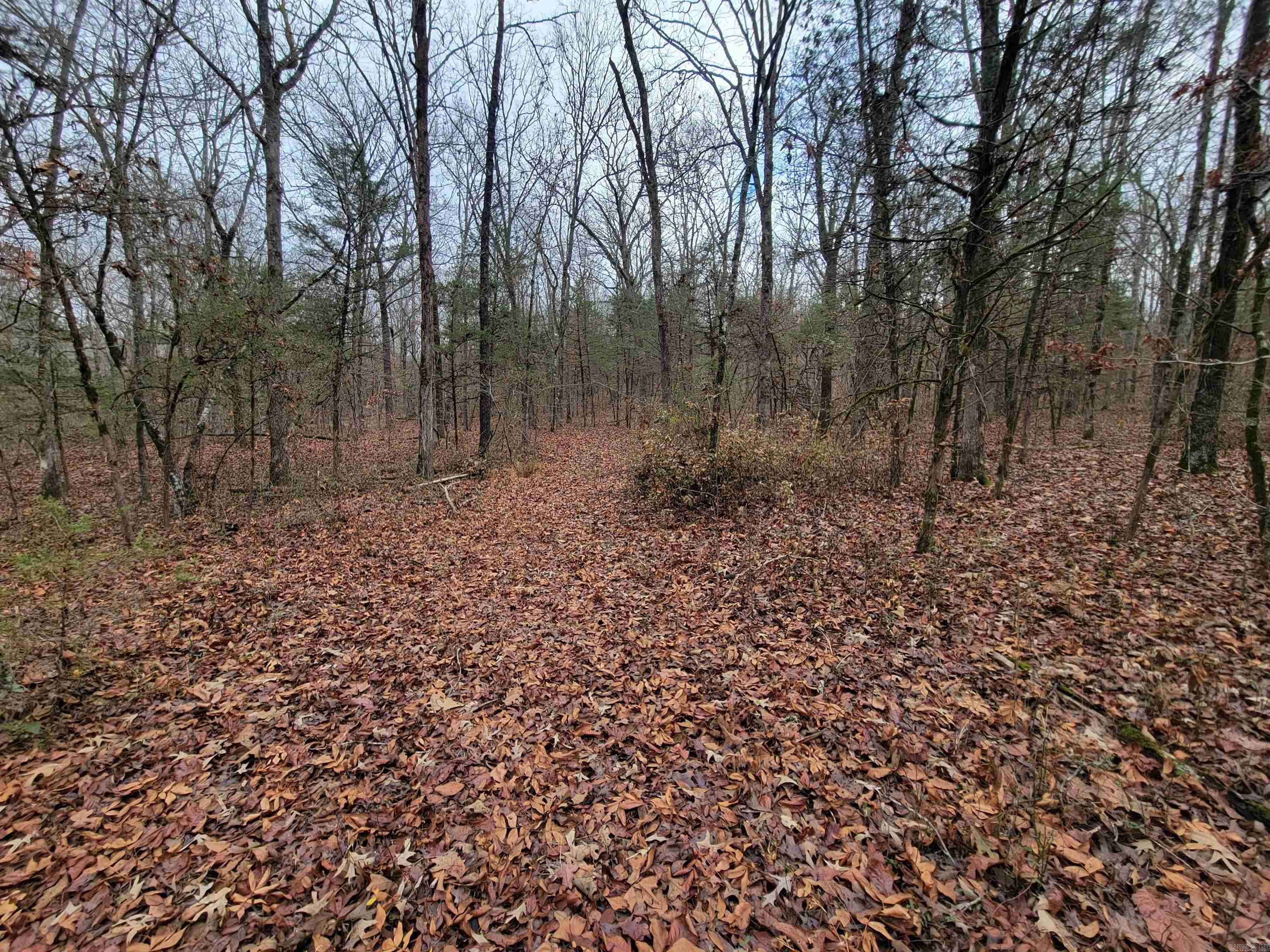 Metes & Bounds - Land