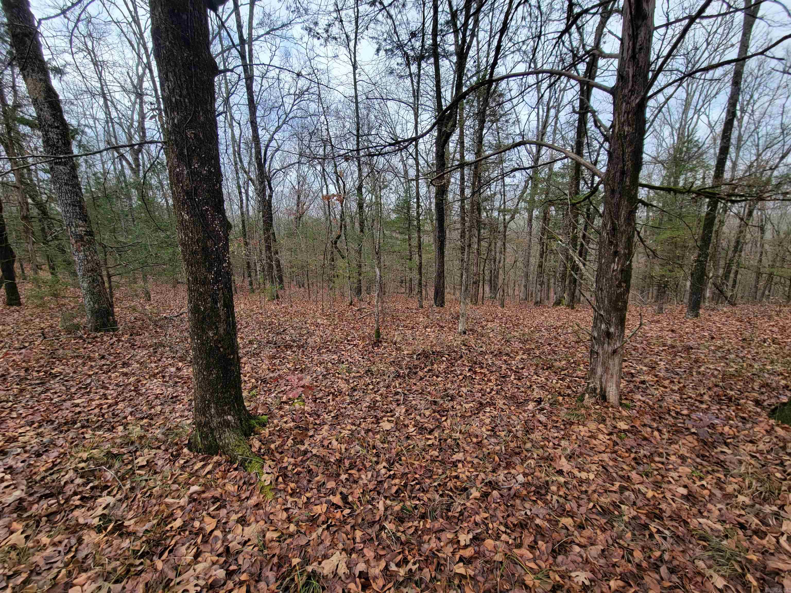 Metes & Bounds - Land