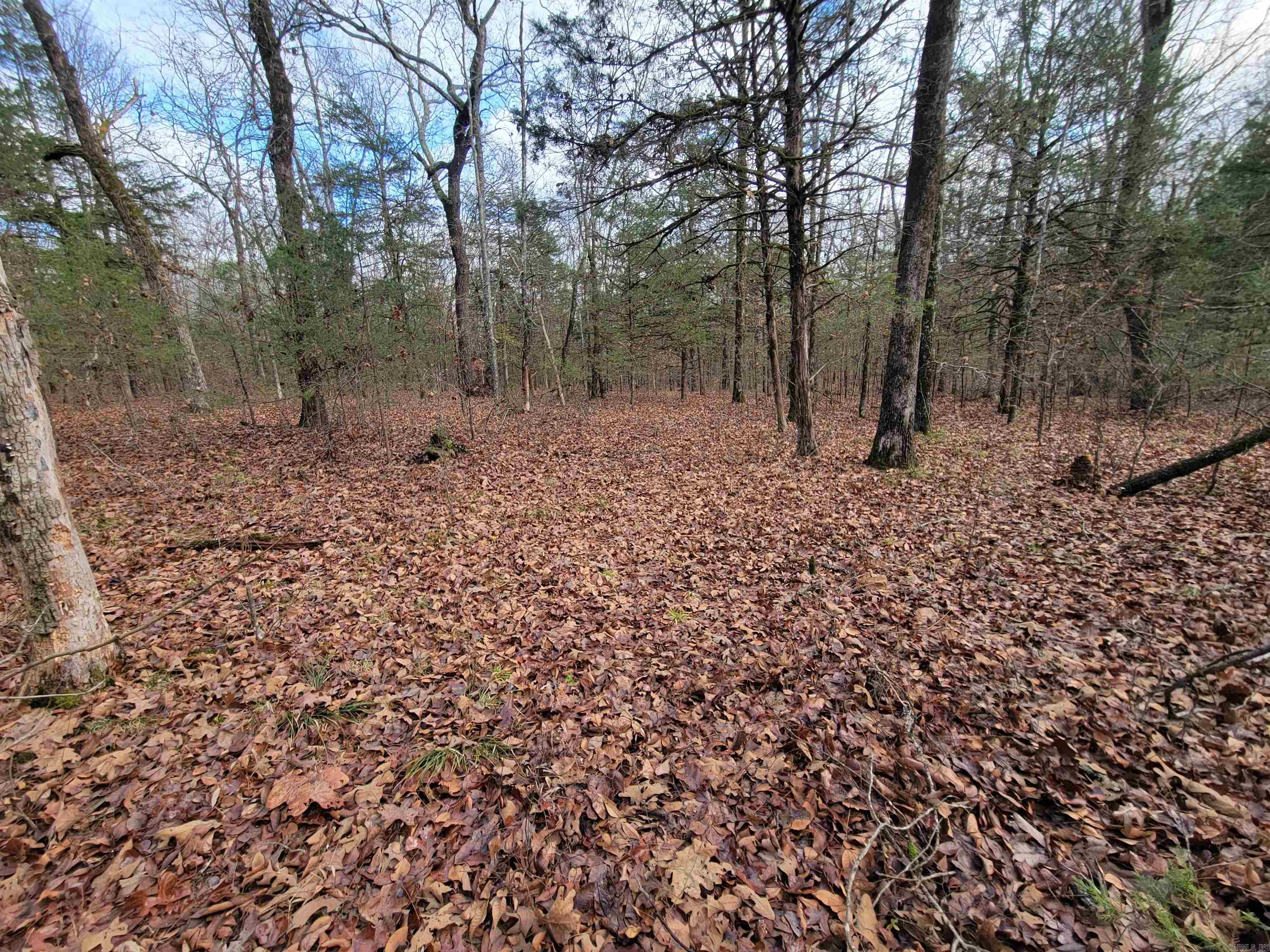 Metes & Bounds - Land