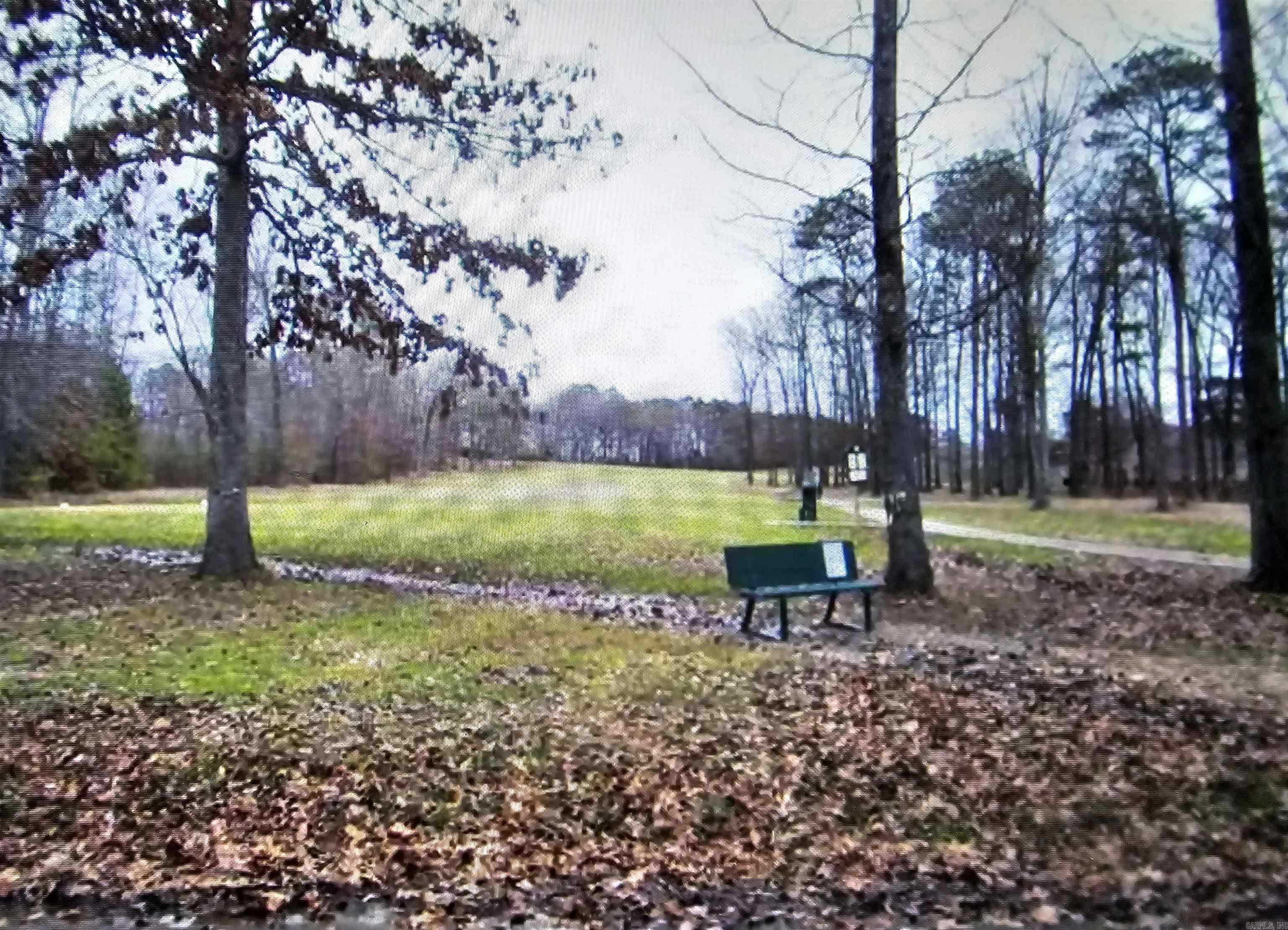 Silver Springs - Land