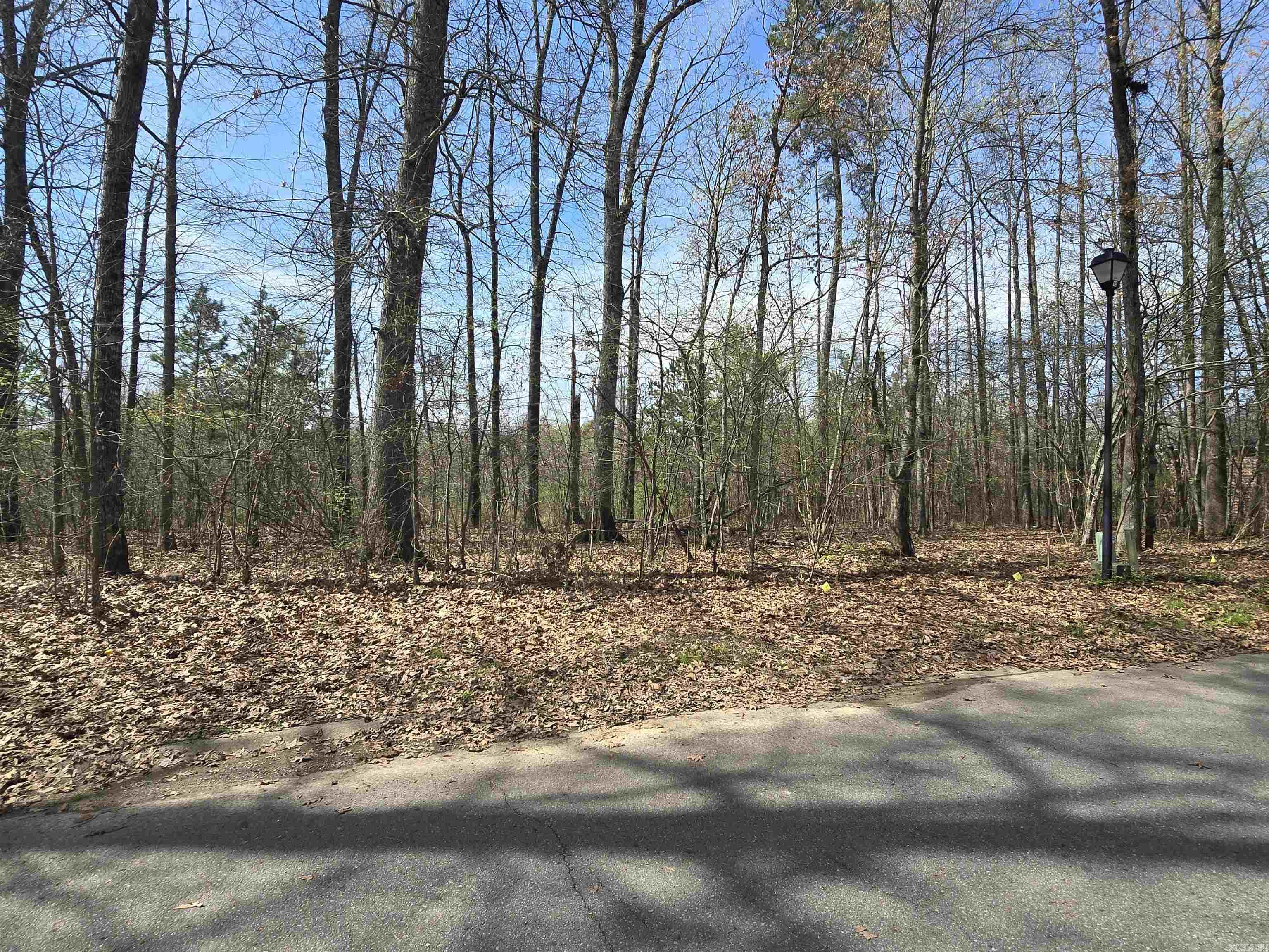 Silver Springs - Land