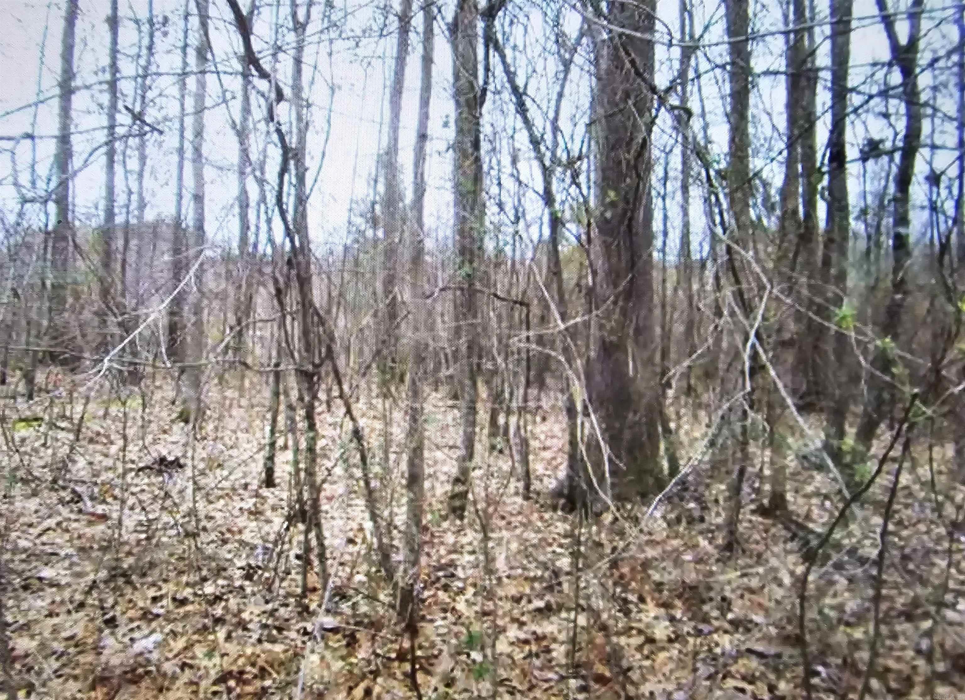 Silver Springs - Land