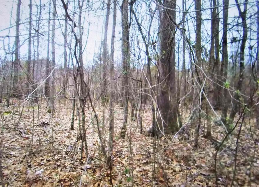 234 St. Annes Drive Benton, Arkansas: Perfect lot in a wonderful neighborhood of Silver Springs. Ideal for building your next dream home, this lot is one of the last available in the highly desirable area where homes can still be built affordably. Enjoy wide streets, sidewalks, and access to water and electric utilities. Situated across the street from golf course tee box number 7, this lot offers a serene county setting with the convenience of urban amenities. Harmony Grove School district also adds to the appeal! Minimum home size requirements: 2200 sq ft for single-story and 2500 sq ft for two-story homes. Don't miss out on this opportunity to create your dream home in this wonderful area. This is an RD eligible area.