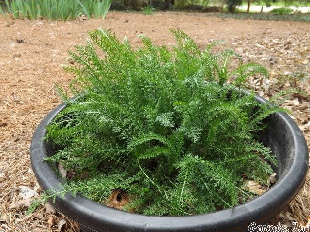 KIMA FIRST - Residential