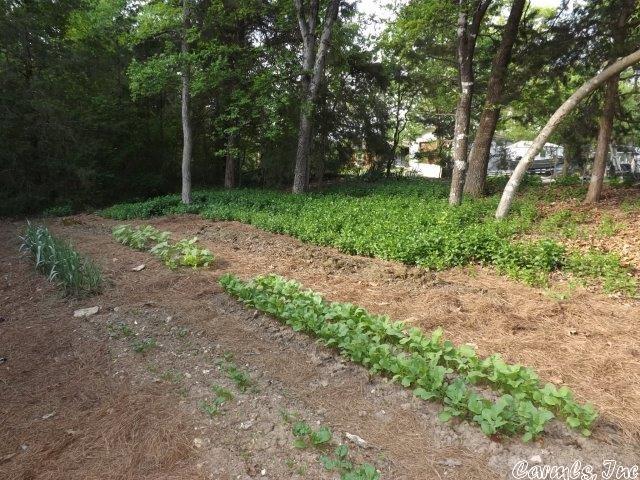 KIMA FIRST - Residential