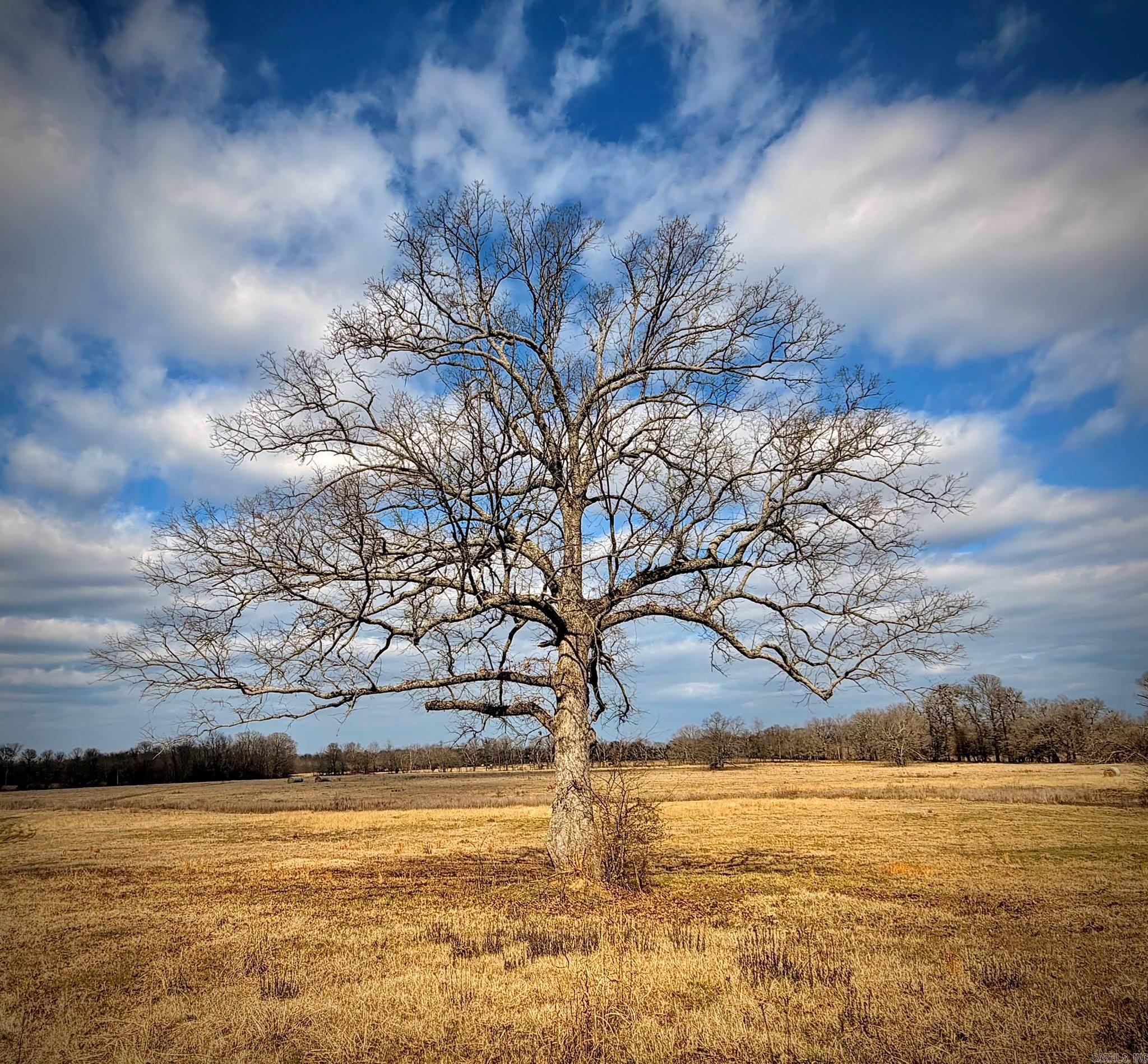 Arrowhead Estates - Land