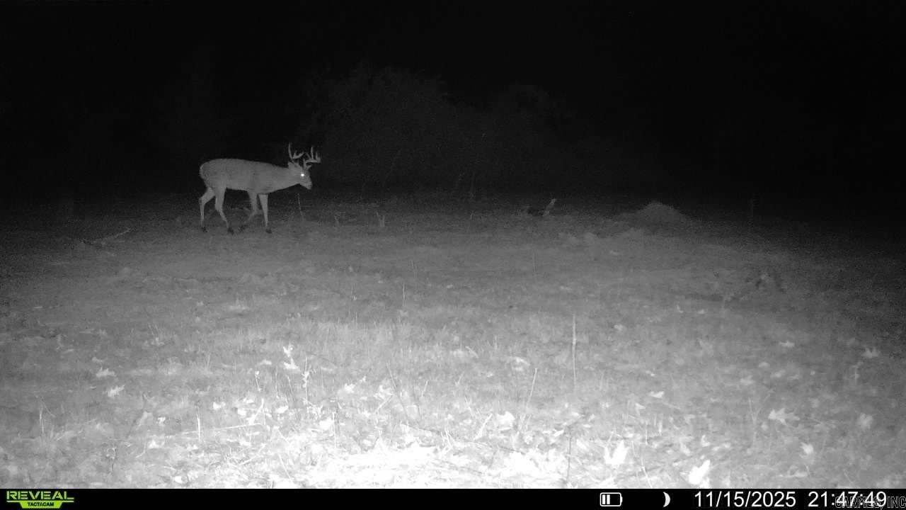 Arrowhead Estates - Land