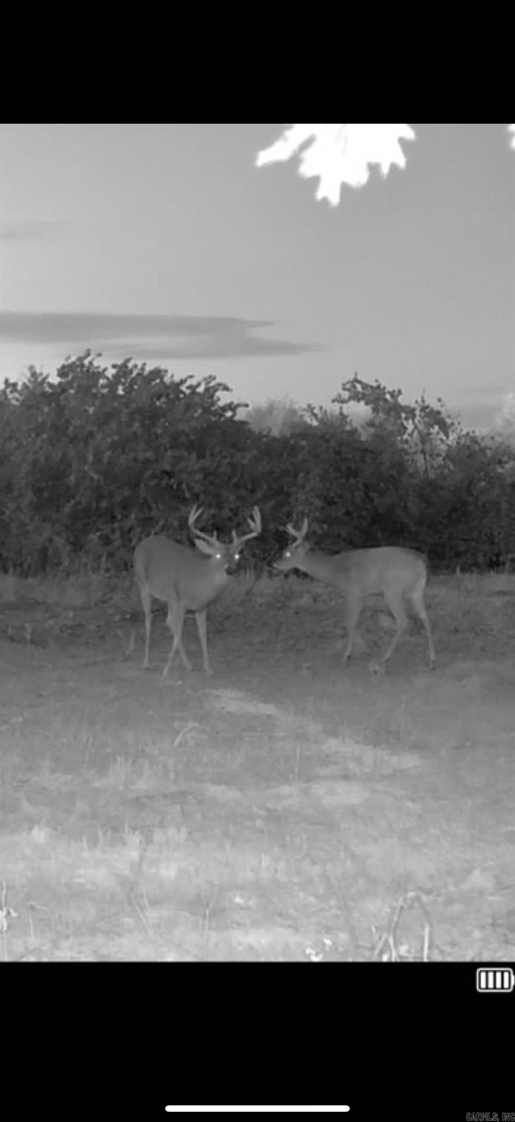 Arrowhead Estates - Land