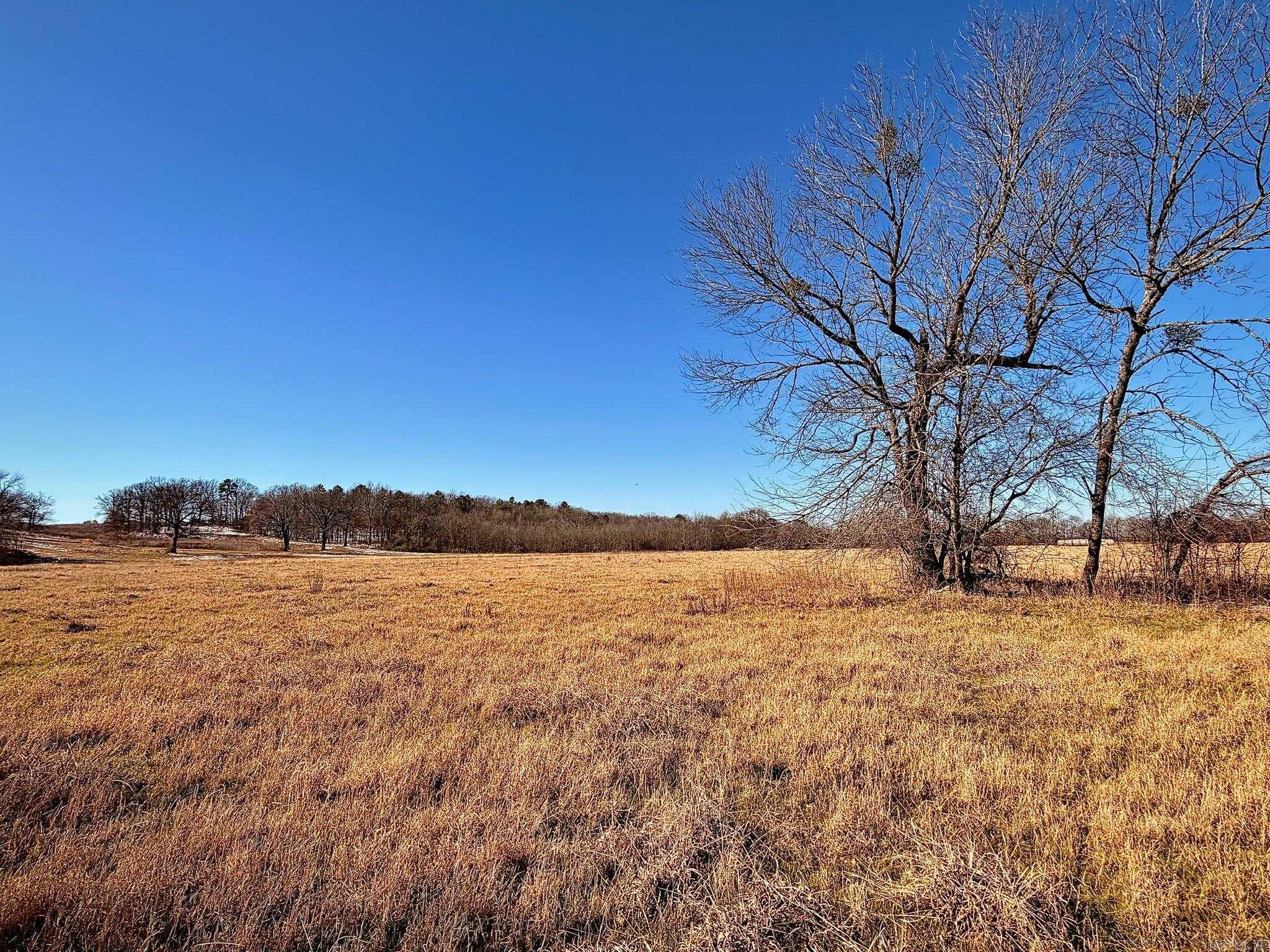 Arrowhead Estates - Land