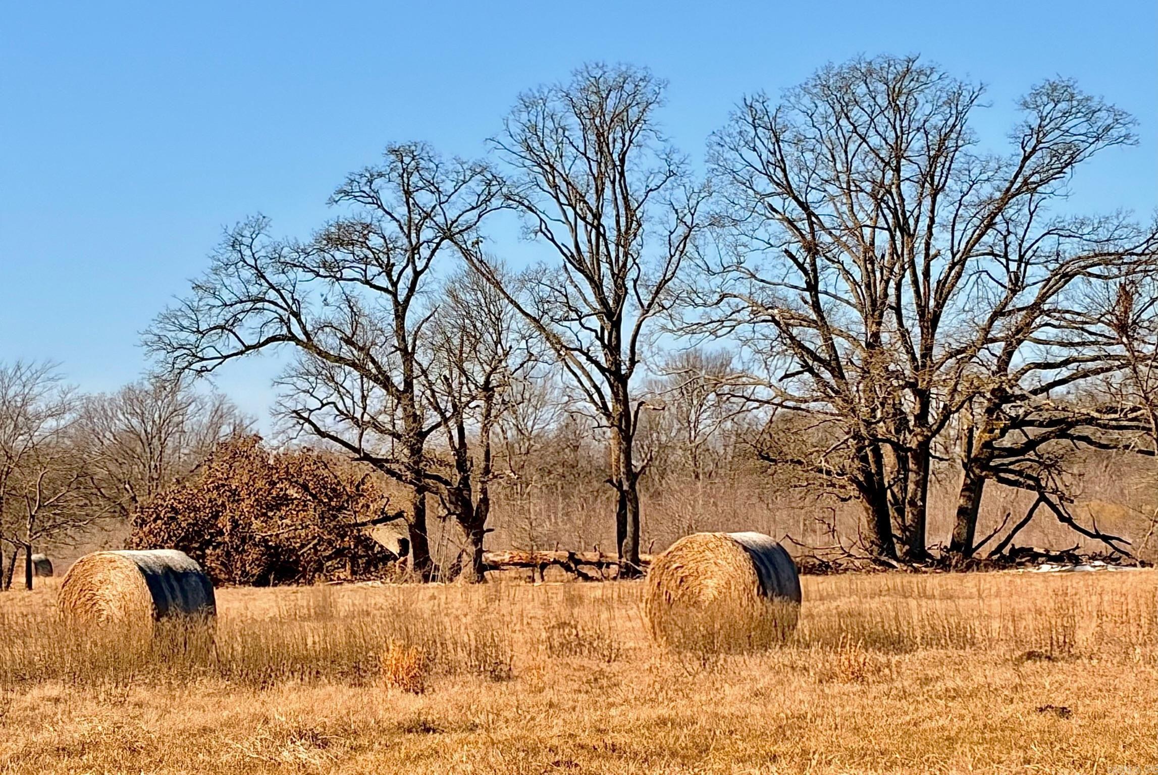 Arrowhead Estates - Land