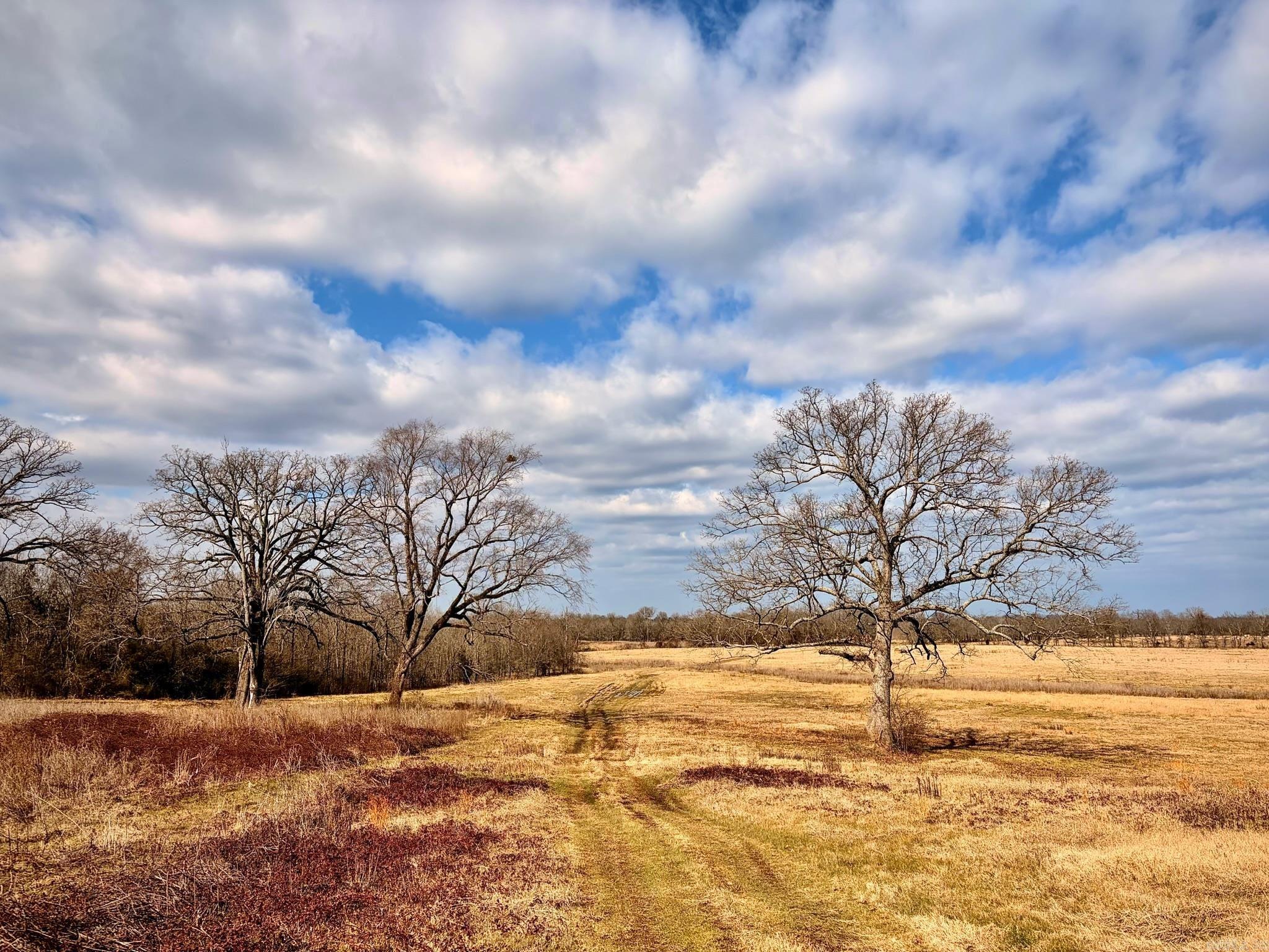 Arrowhead Estates - Land