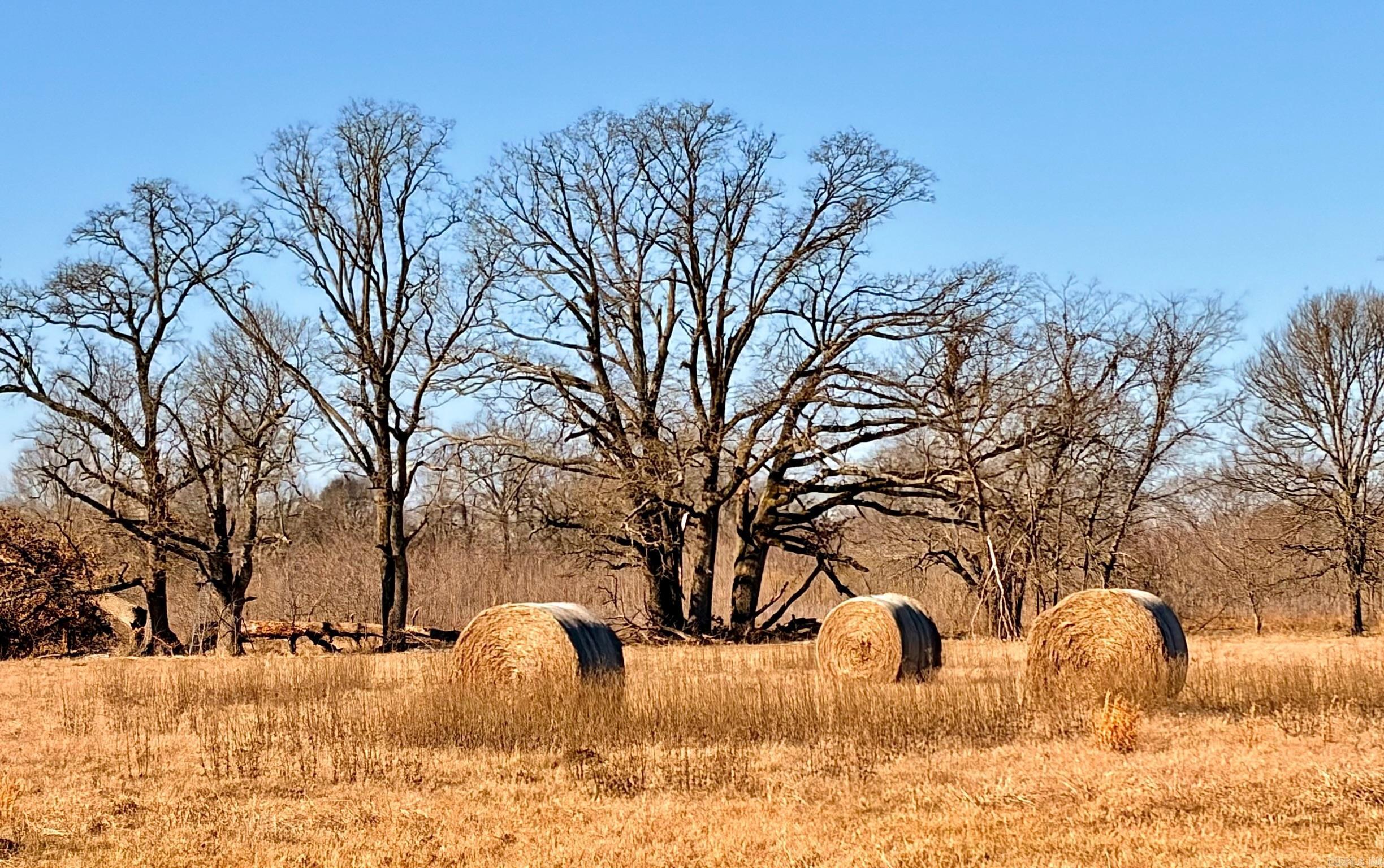 Arrowhead Estates - Land