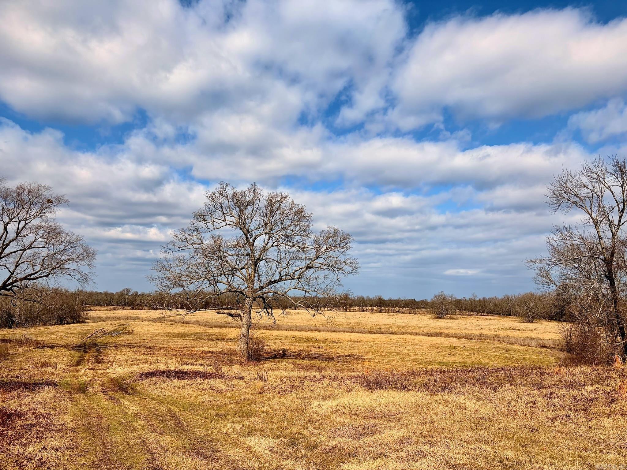 Arrowhead Estates - Land