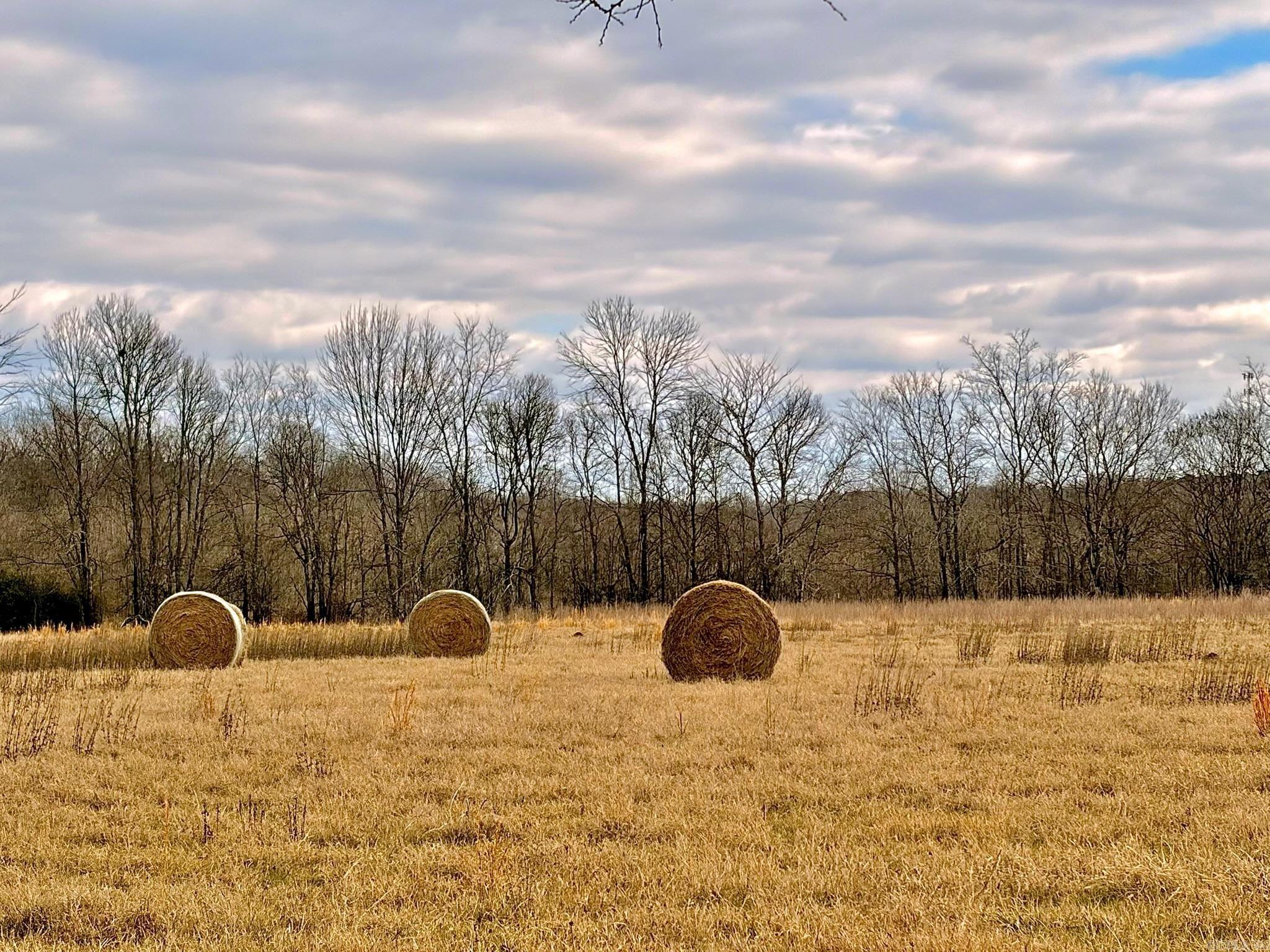 Arrowhead Estates - Land