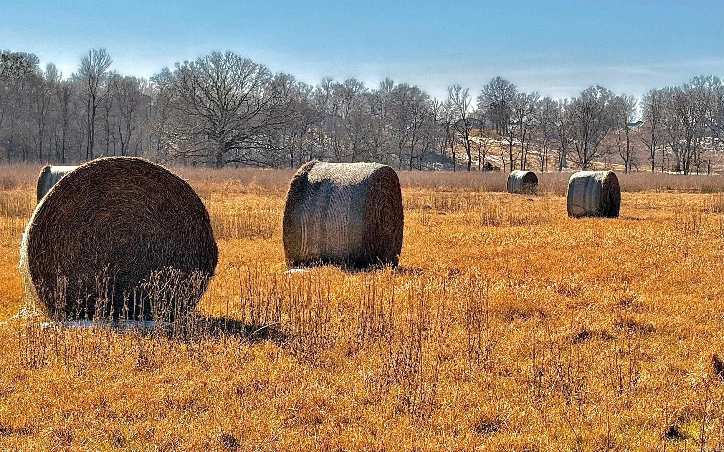 Arrowhead Estates - Land