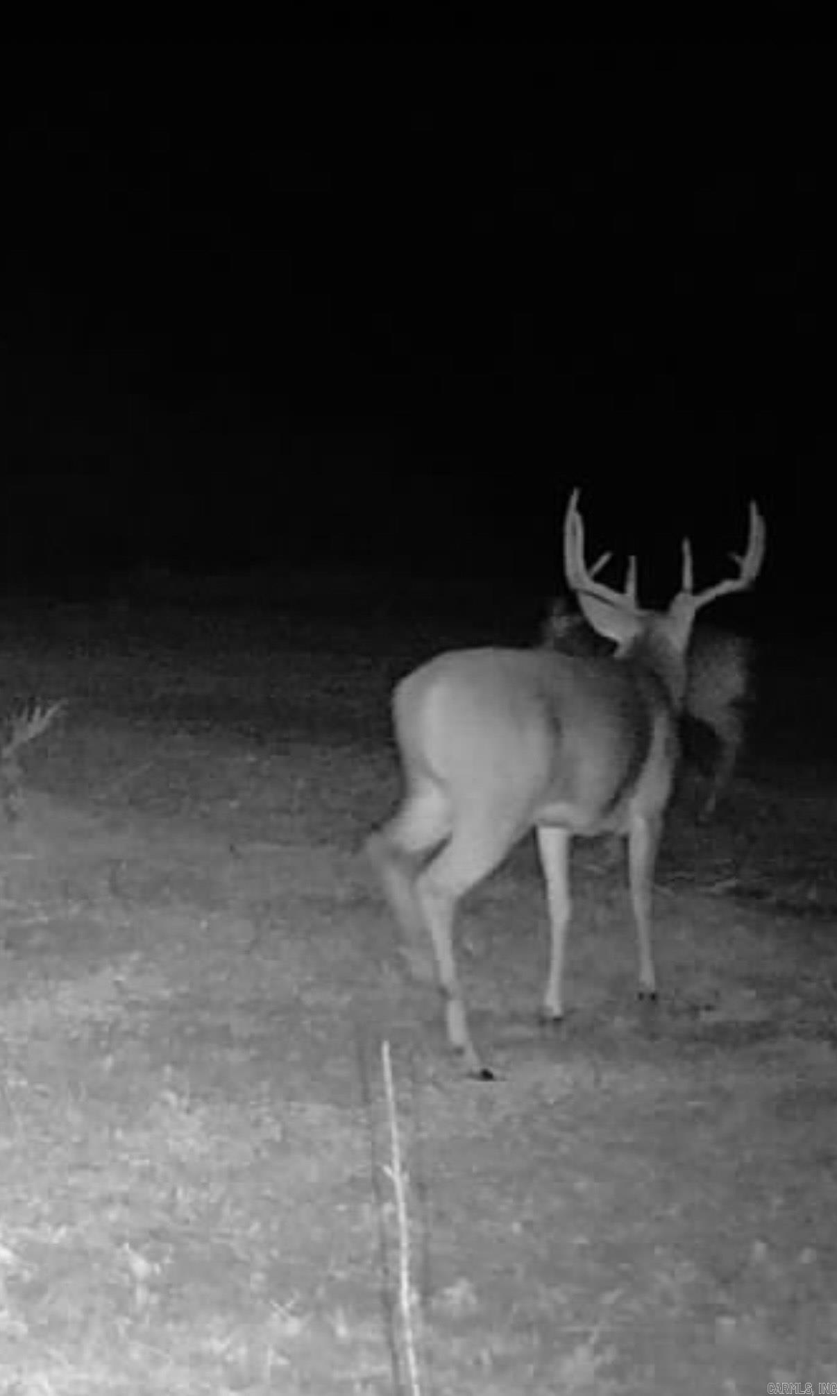 Arrowhead Estates - Land