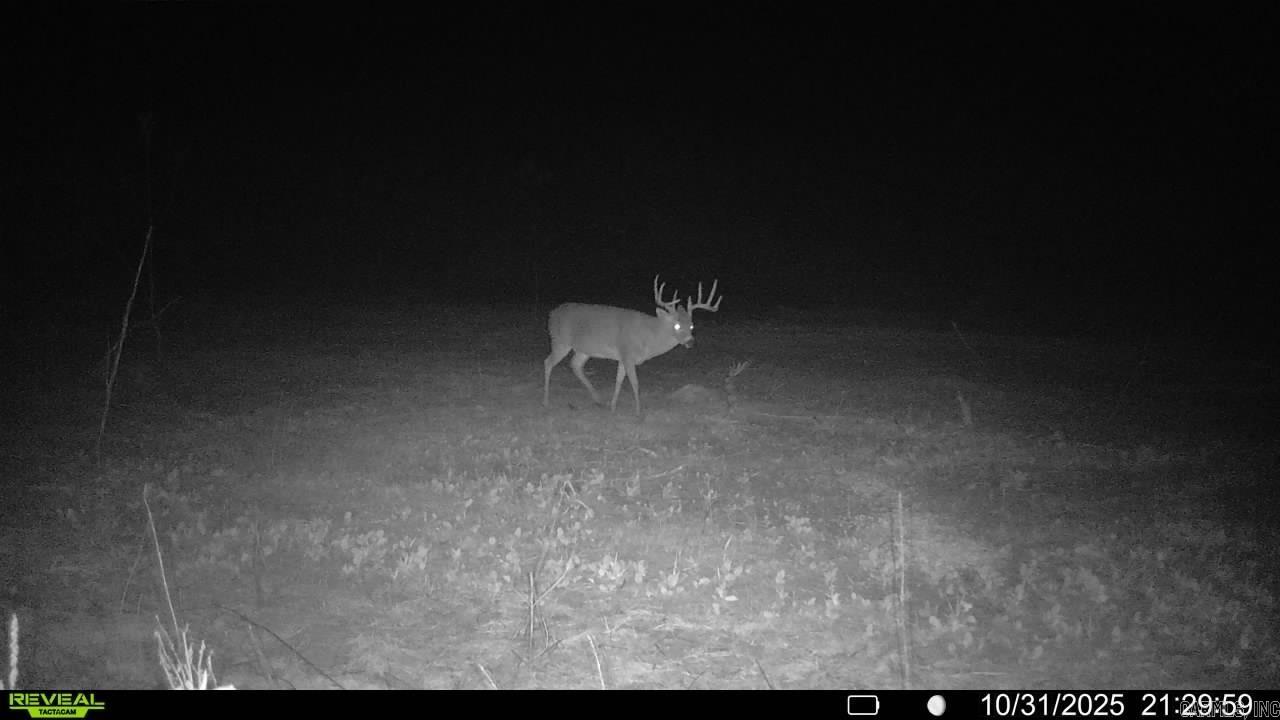 Arrowhead Estates - Land