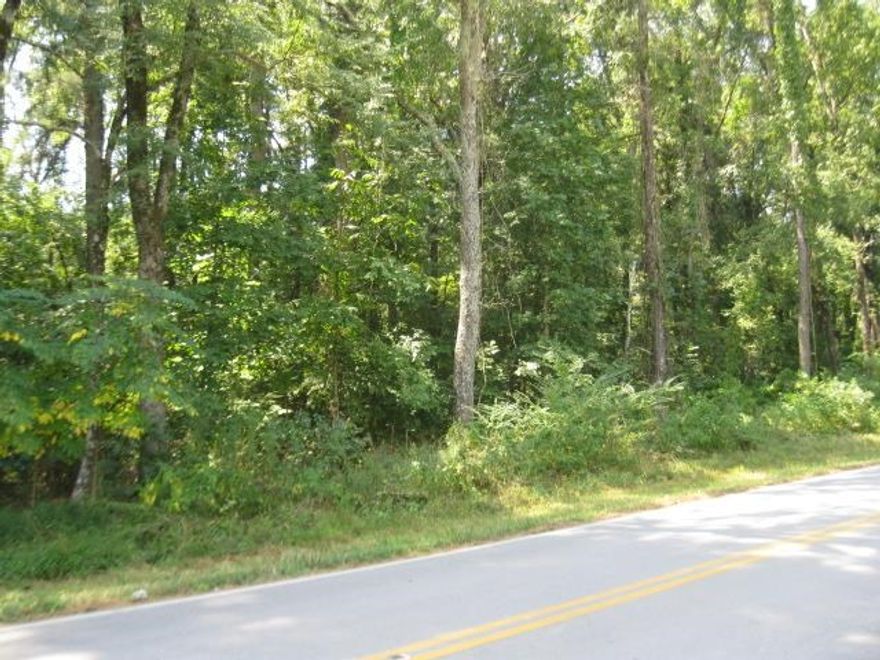 Great acreage for development or building site or investment.