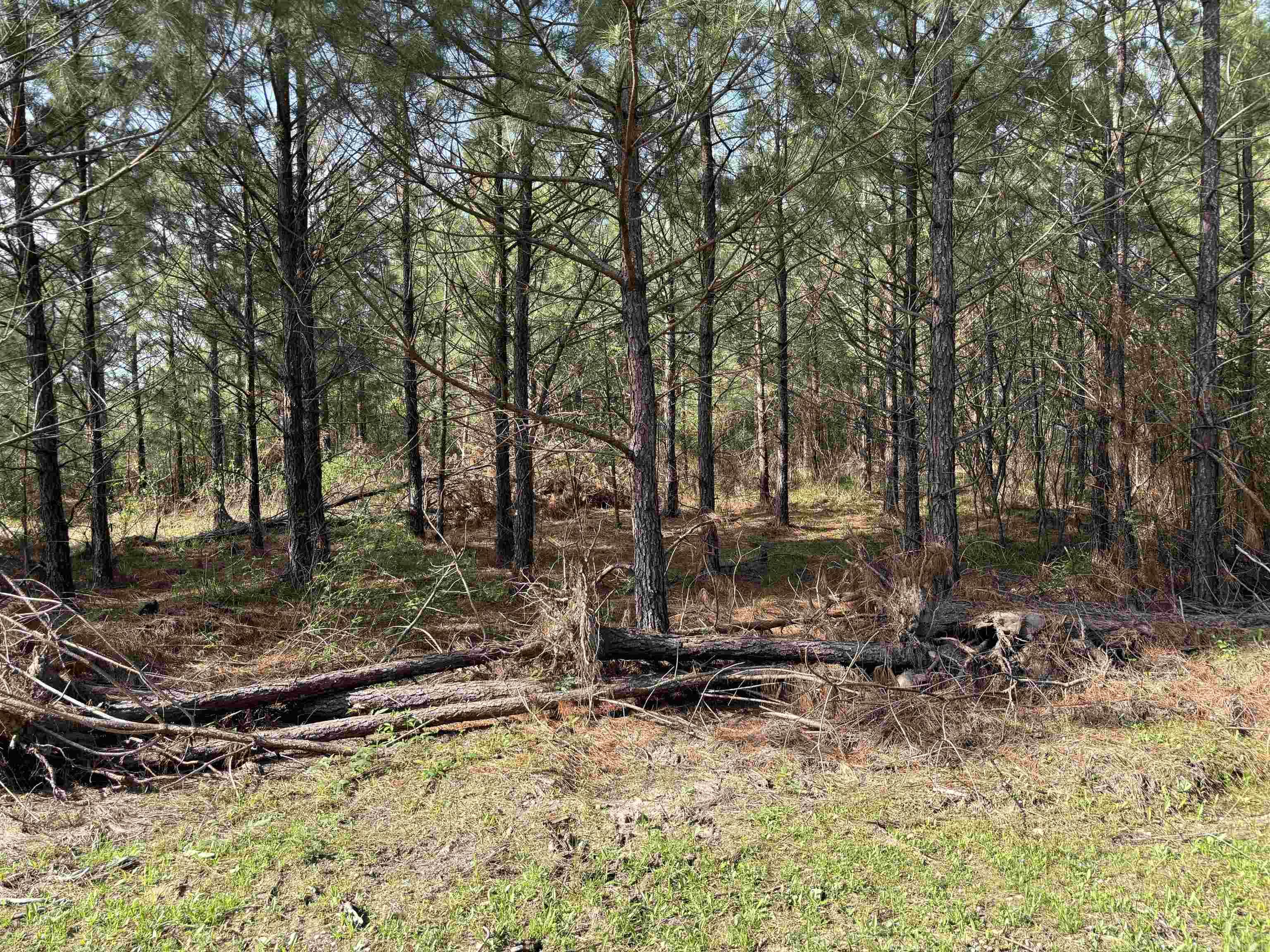 Metes & Bounds - Land