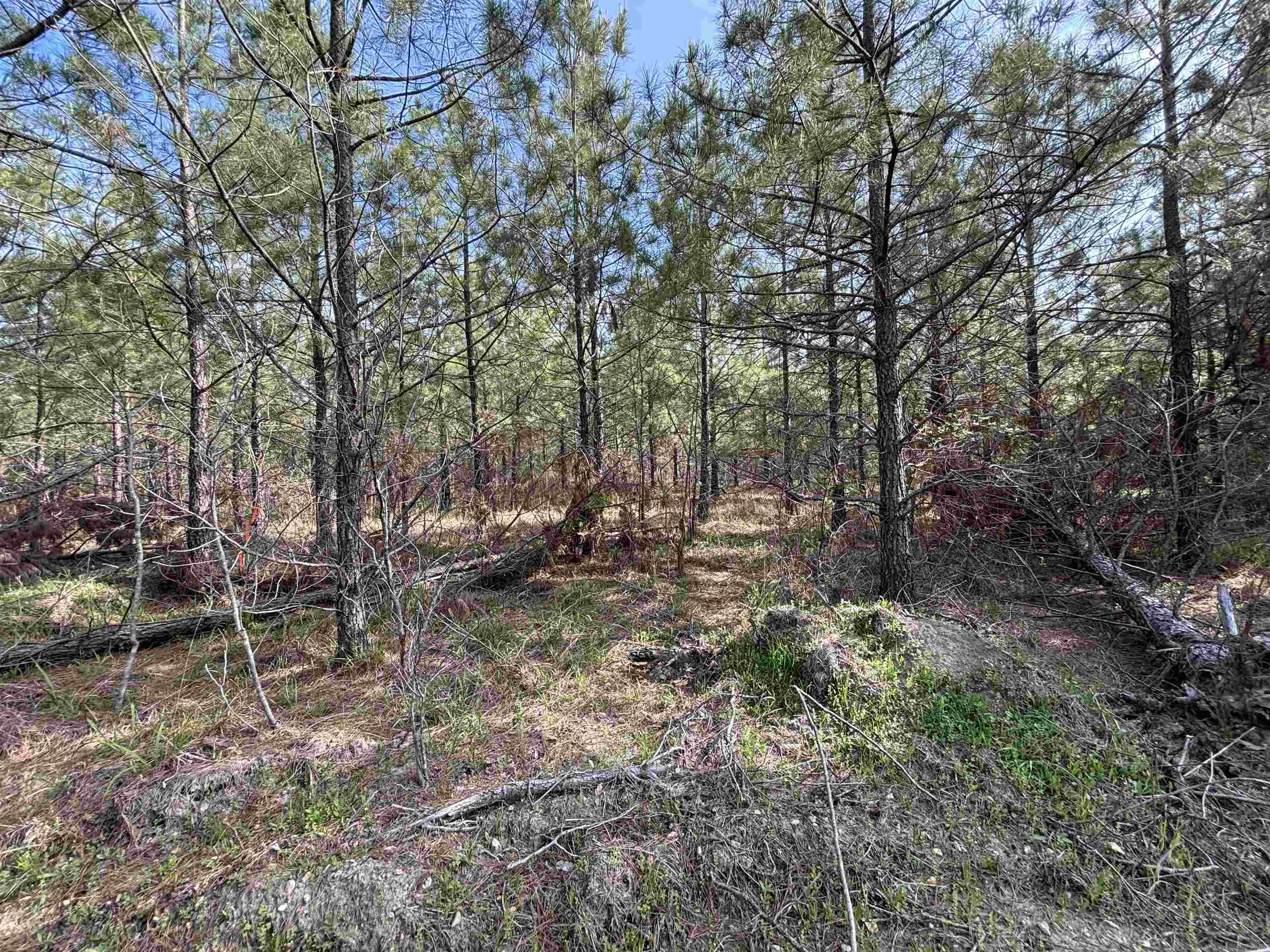 Metes & Bounds - Land